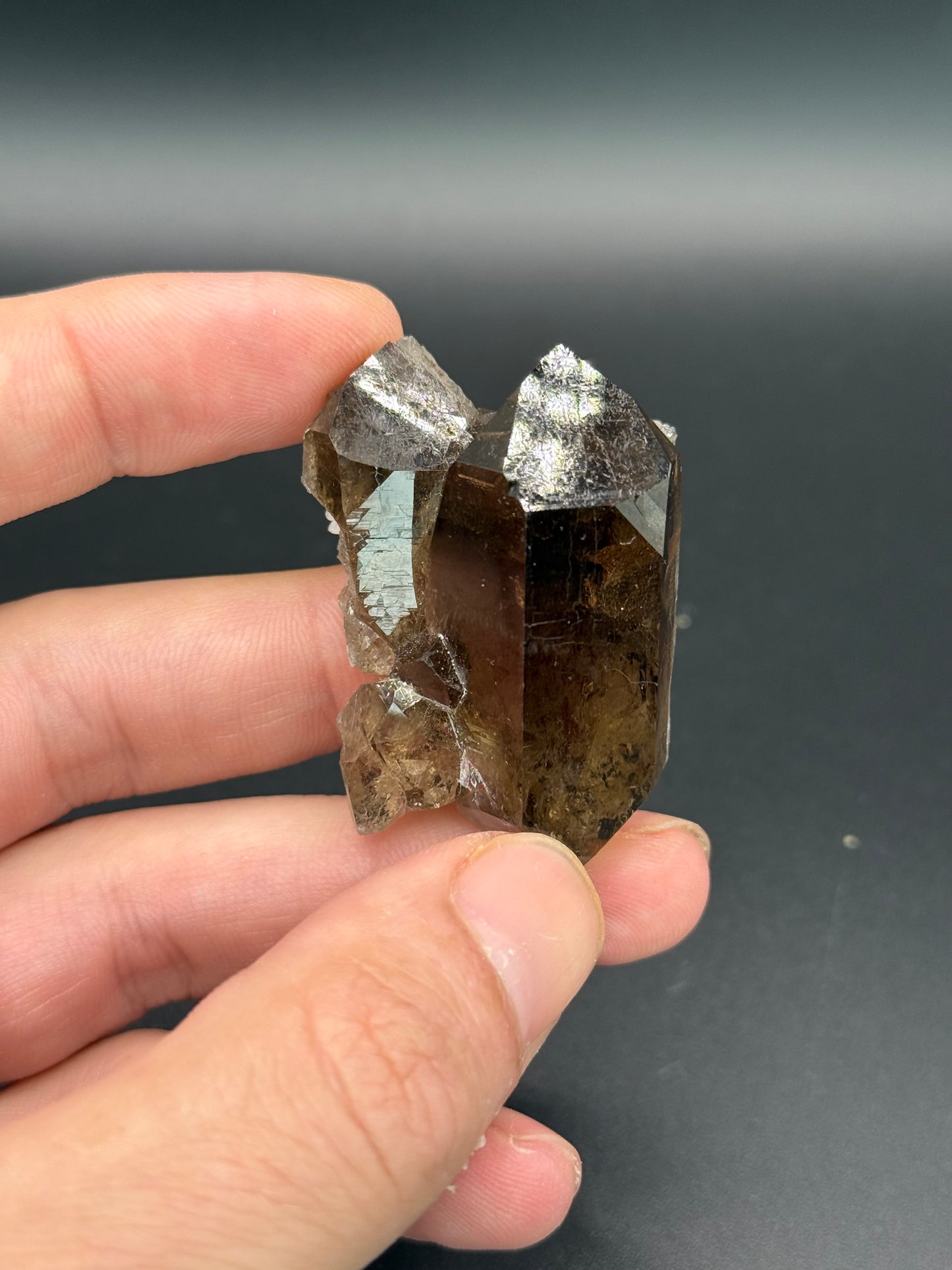 Smoky Quartz, Val Giuv, Tujetsch, Surselva Region, Grisons, Switzerland
