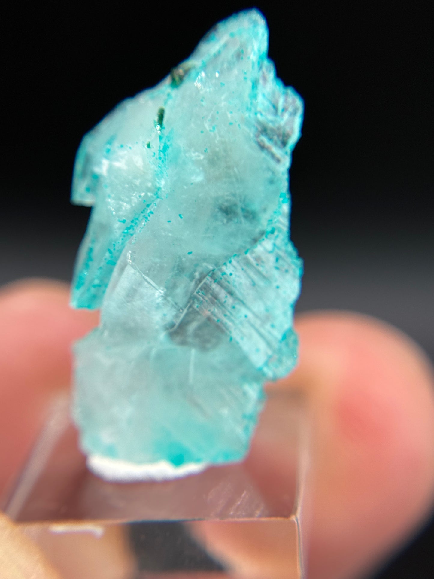 Dioptase and Quartz, Kunene Region, Namibia