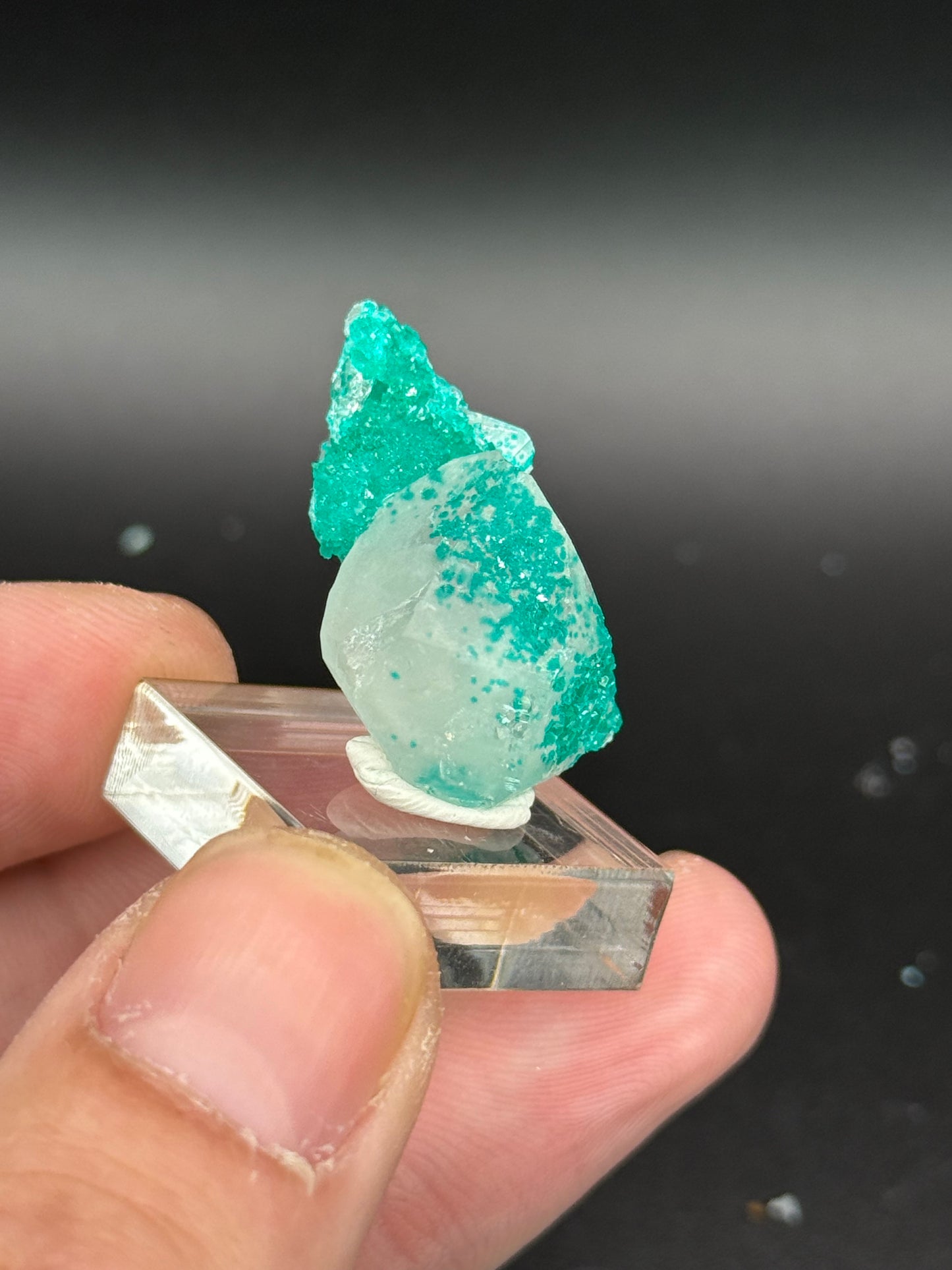 Dioptase and Quartz, Kunene Region, Namibia
