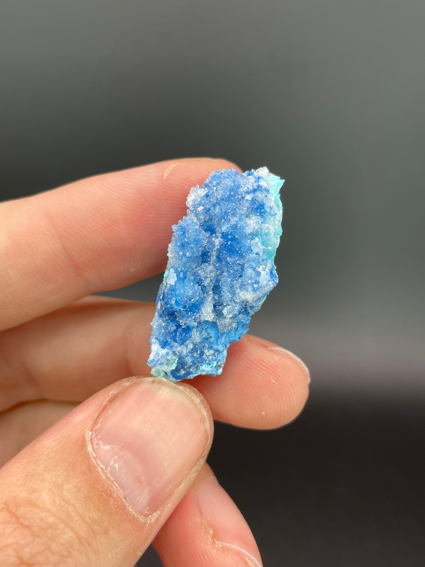Shattuckite, Chrysocolla, Quartz, 992 Level, Milpillas Mine, Cuitaca, Sonora, Mexico