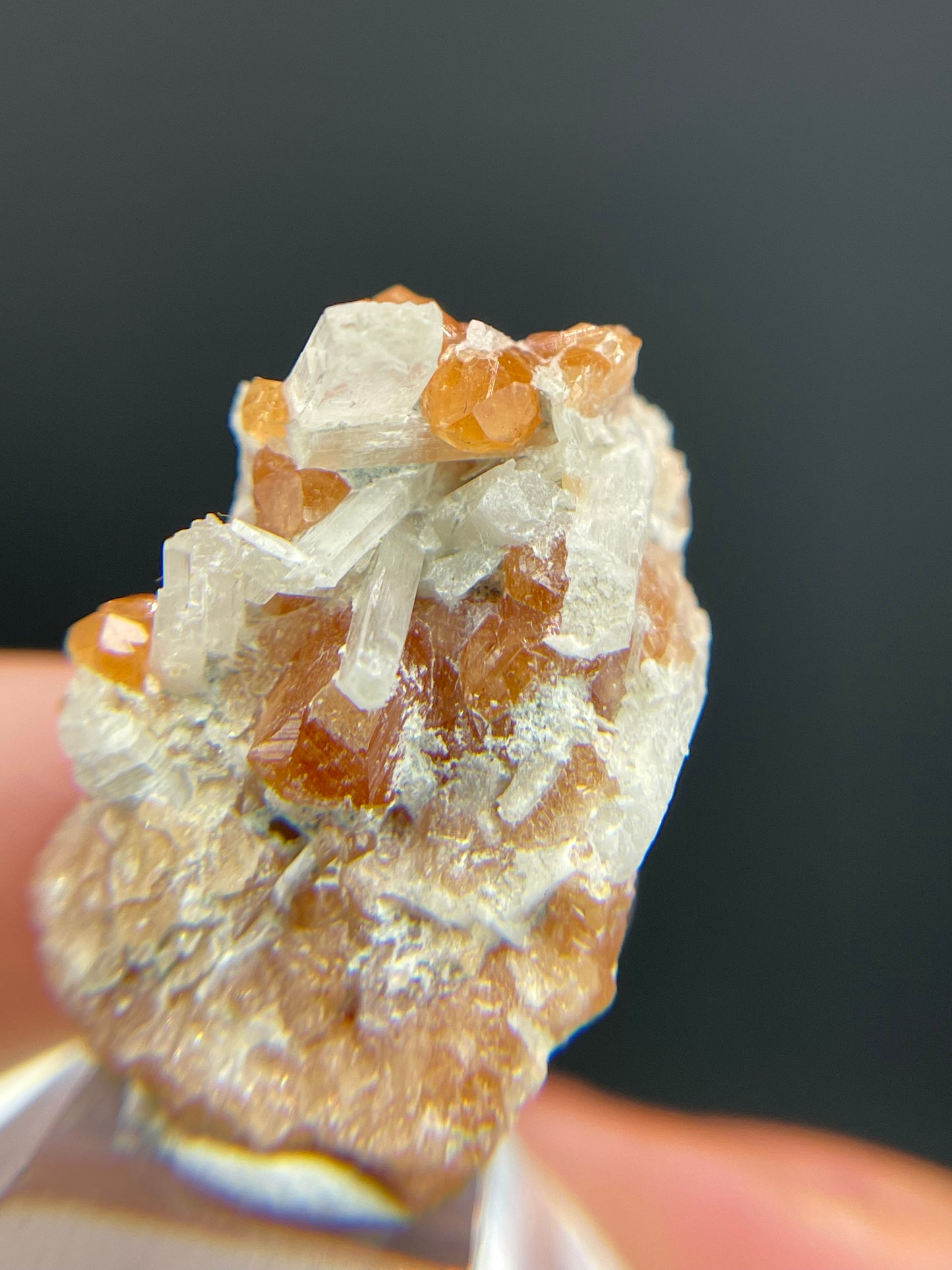 Hessonite garnet, Diopside, Valle d'Aosta, Italy