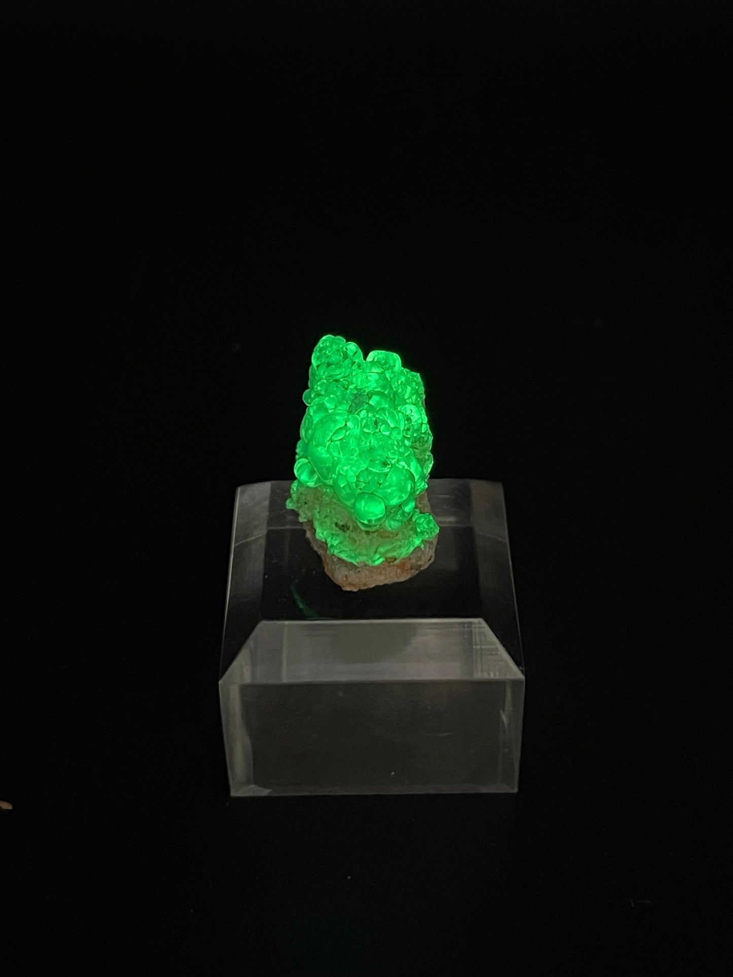 Hyalite Opal, Guanajuato Mexico