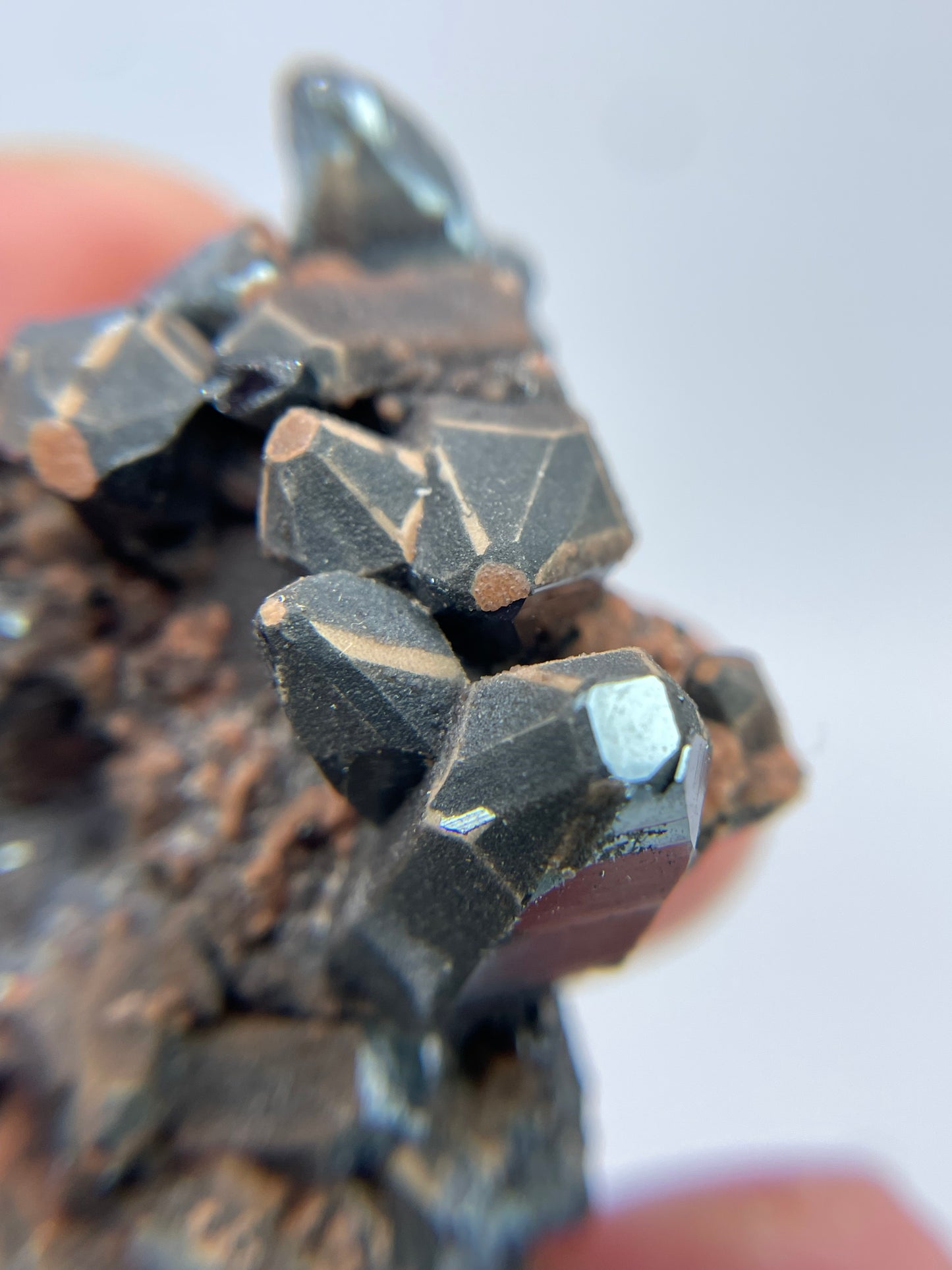 Hematite with Andradite Garnet, N’Chwaning II Mine, Kalahari Manganese Fields, South Africa