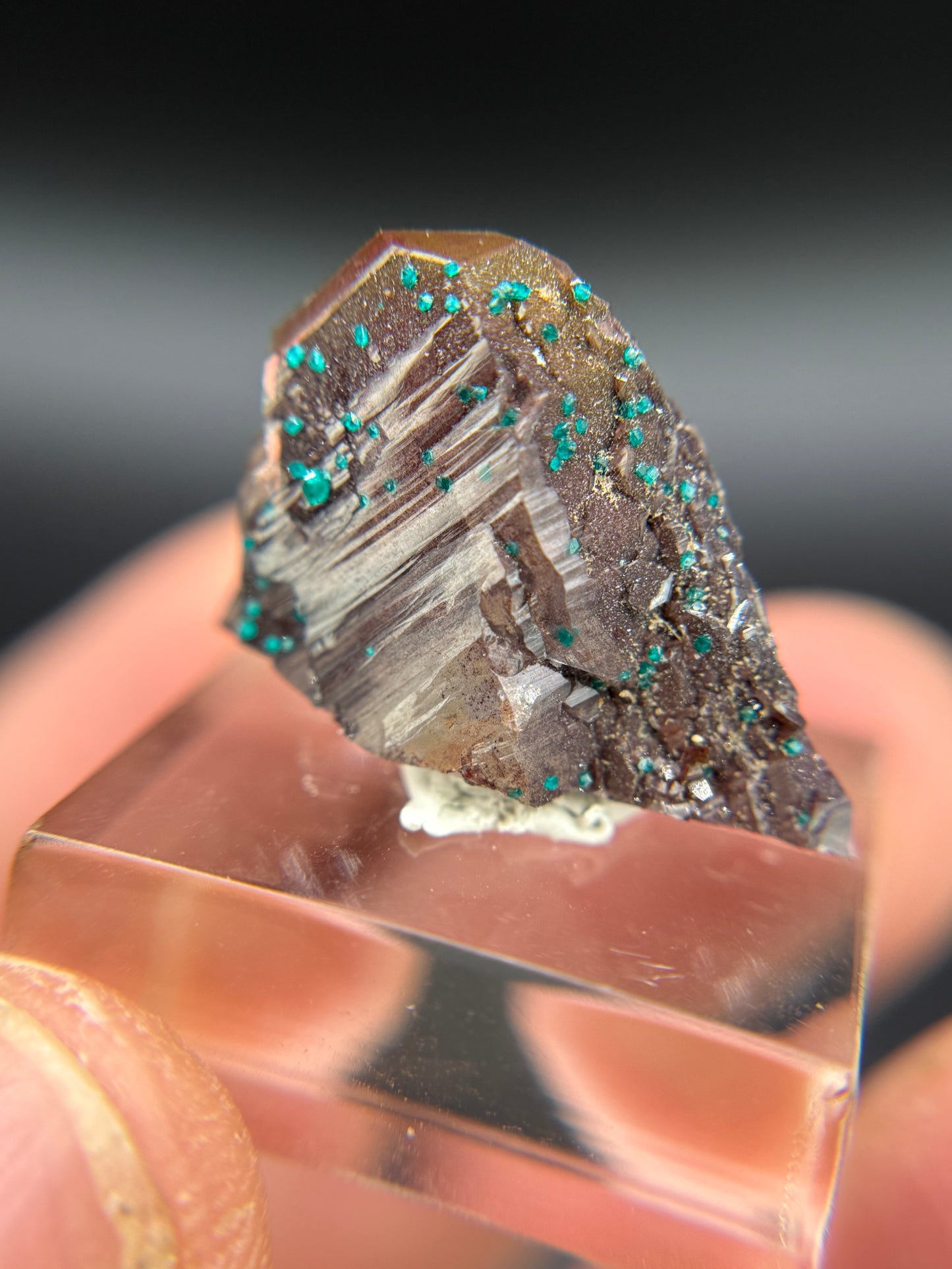 Dioptaze, Hematite and Quartz, Kunene Region, Namibia