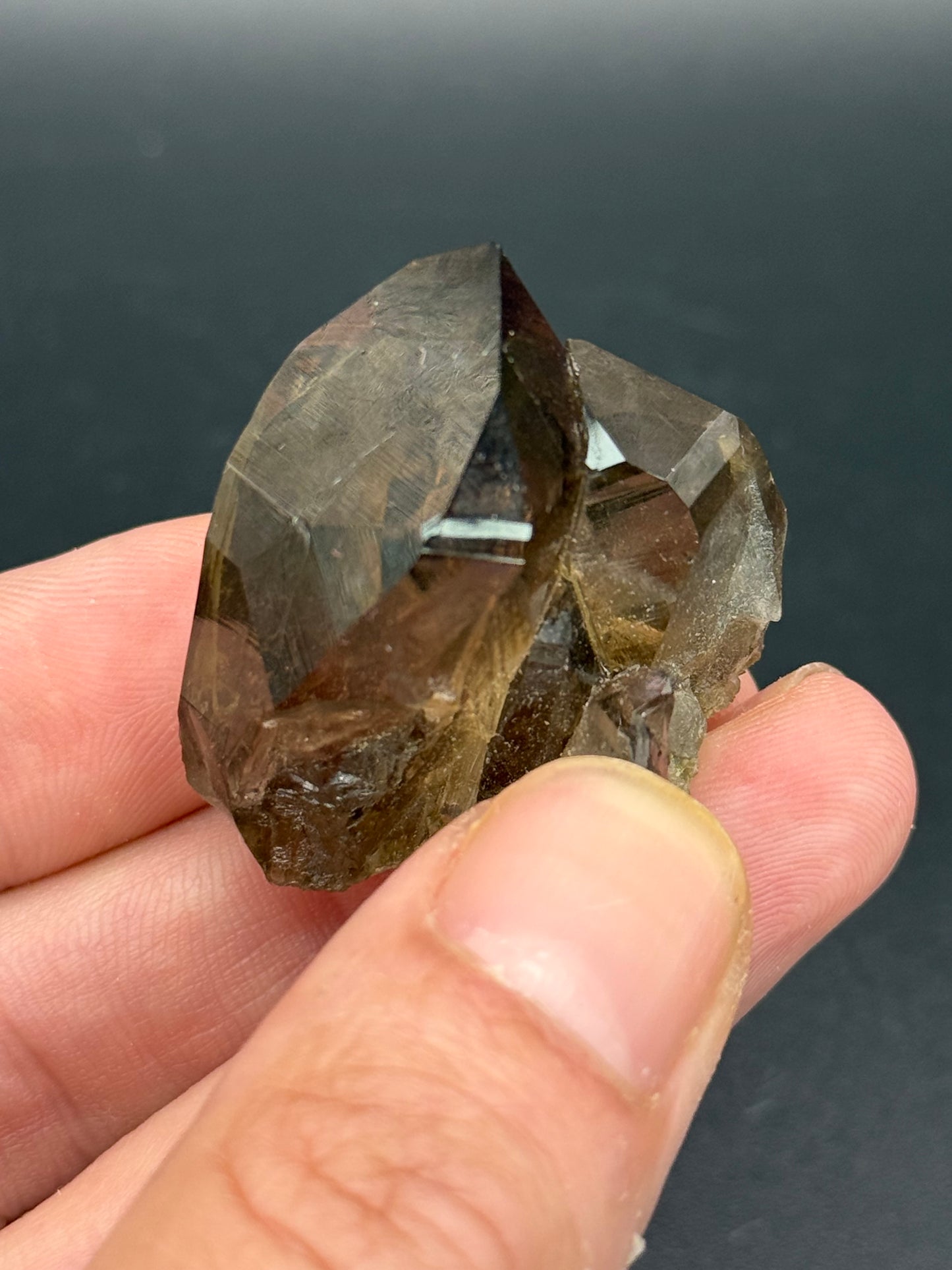 Smoky Quartz, Val Giuv, Tujetsch, Surselva Region, Grisons, Switzerland