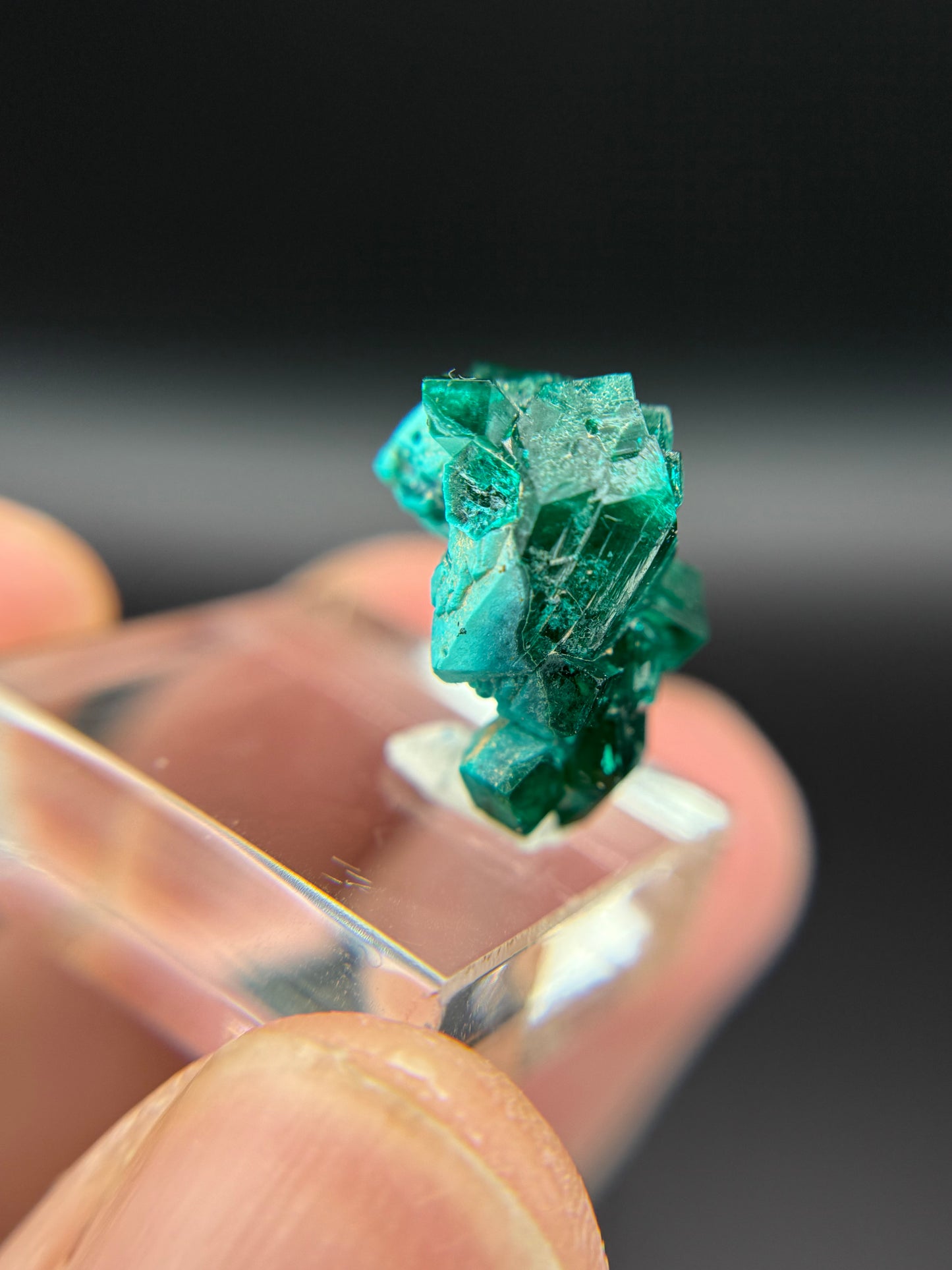 Dioptase, Kunene Region, Namibia