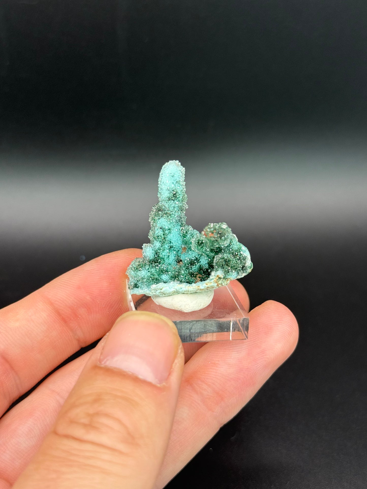 Quartz and Malachite on Chrysocolla Pseudomorph after Baryte, Lupoto Mine, Kakumba, Kipushi Territory, Haut-Katanga, DR Congo