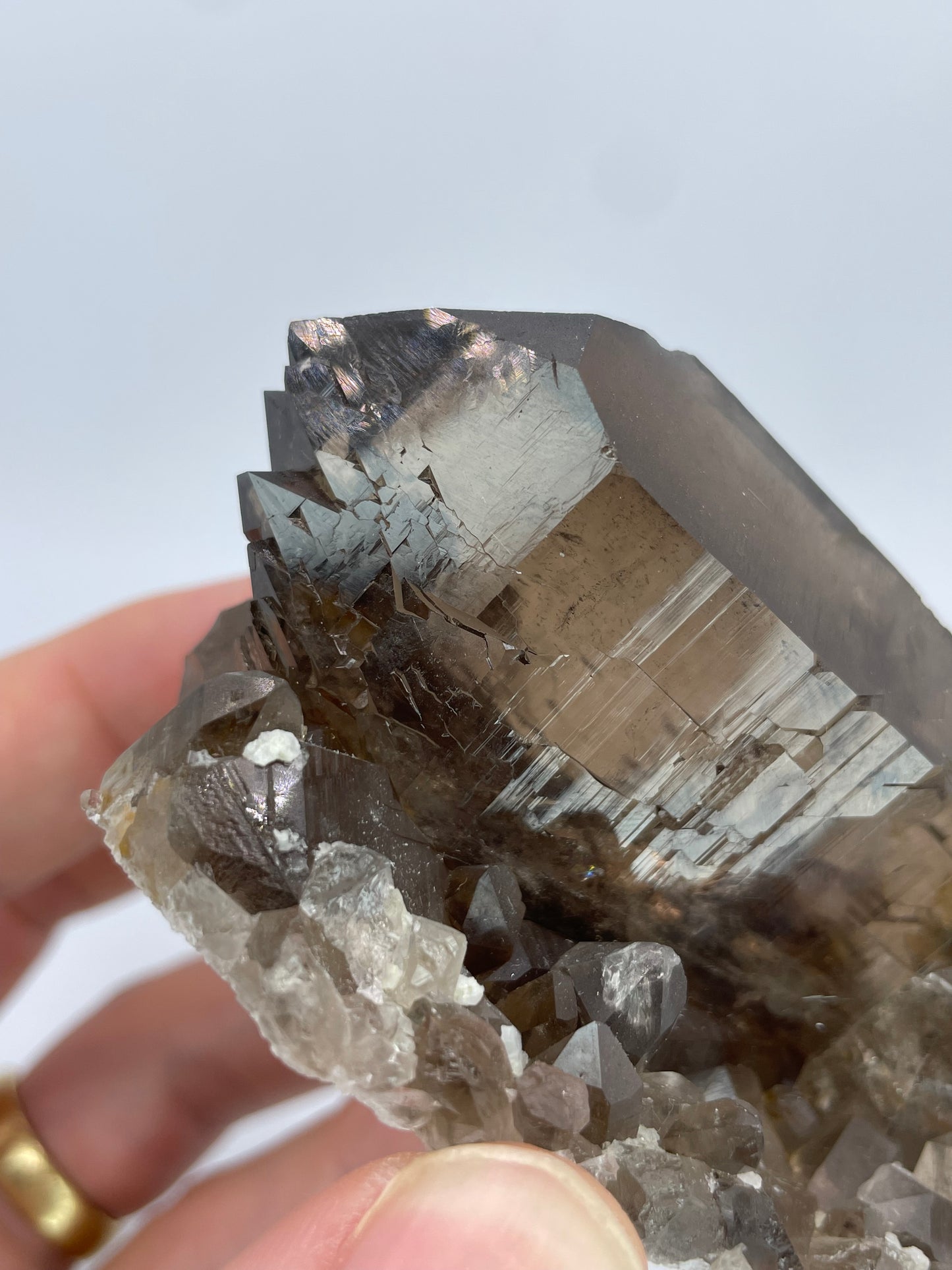 Gwindel Smoky Quartz, Sidelenglacier, Furka, Uri, Switzerland