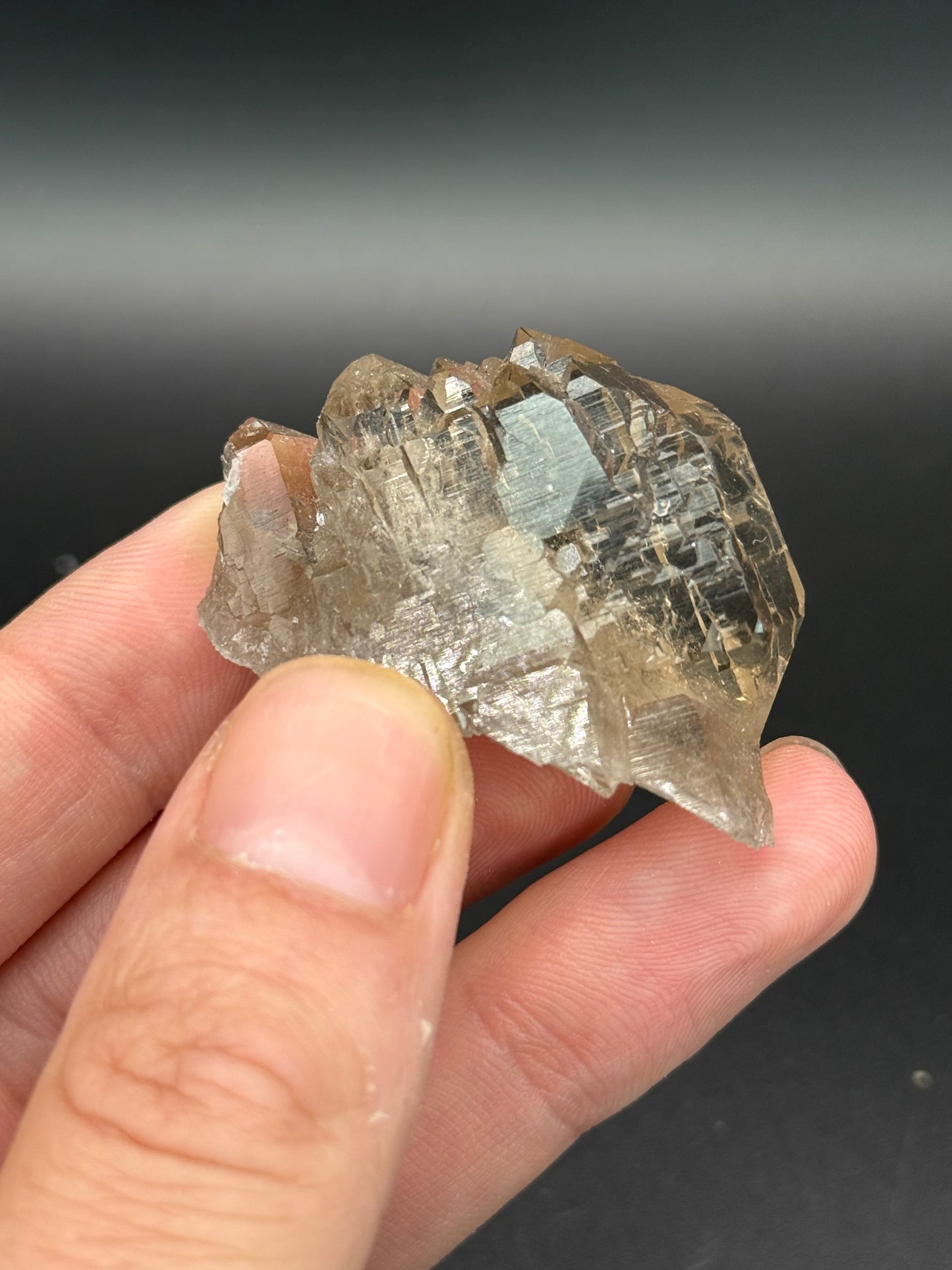 Gwindel Quartz, Val Cavrein, Disentis, Grisons, Switzerland