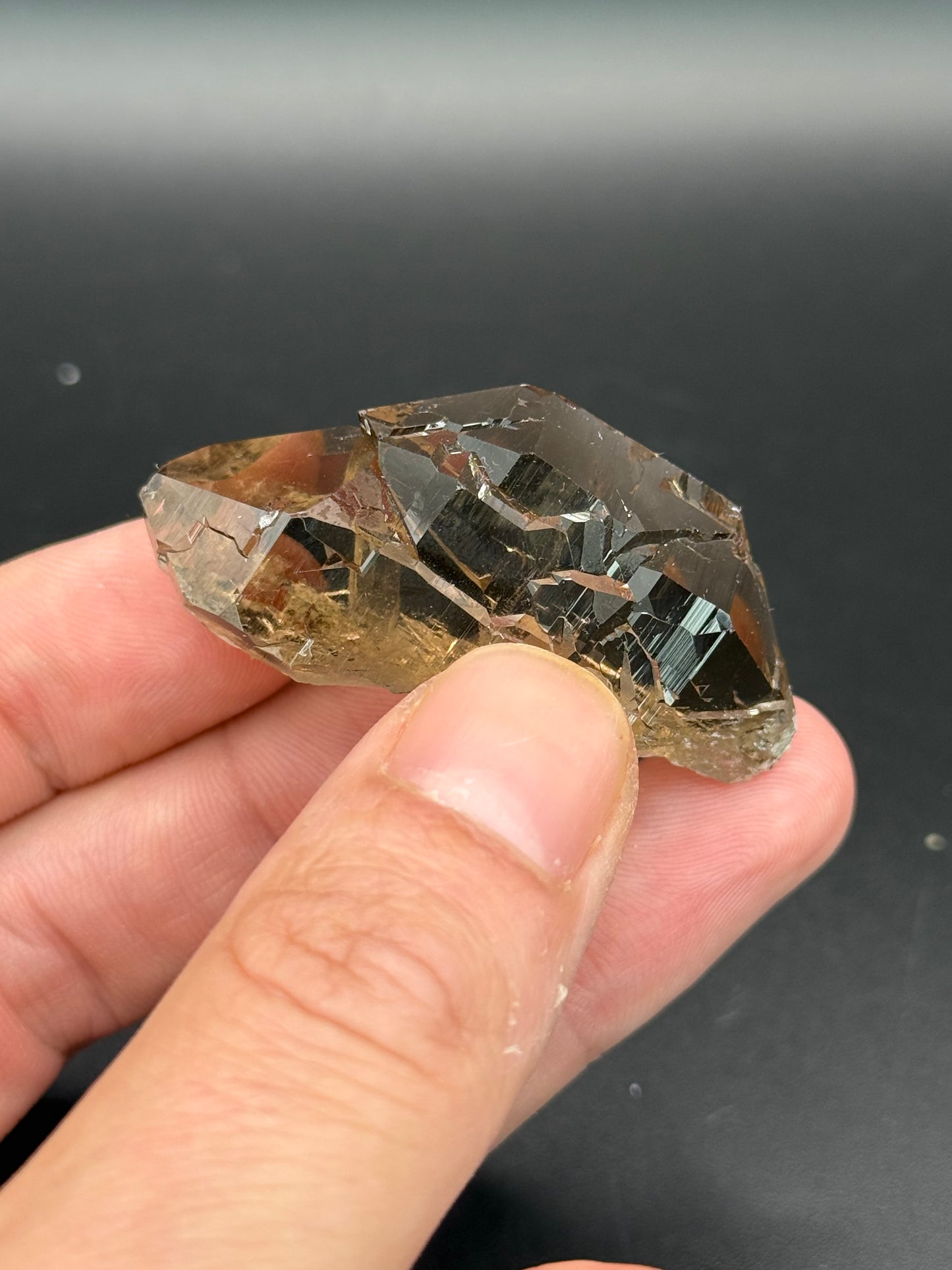 Gwindel Quartz, Val Cavrein, Disentis, Grisons, Switzerland