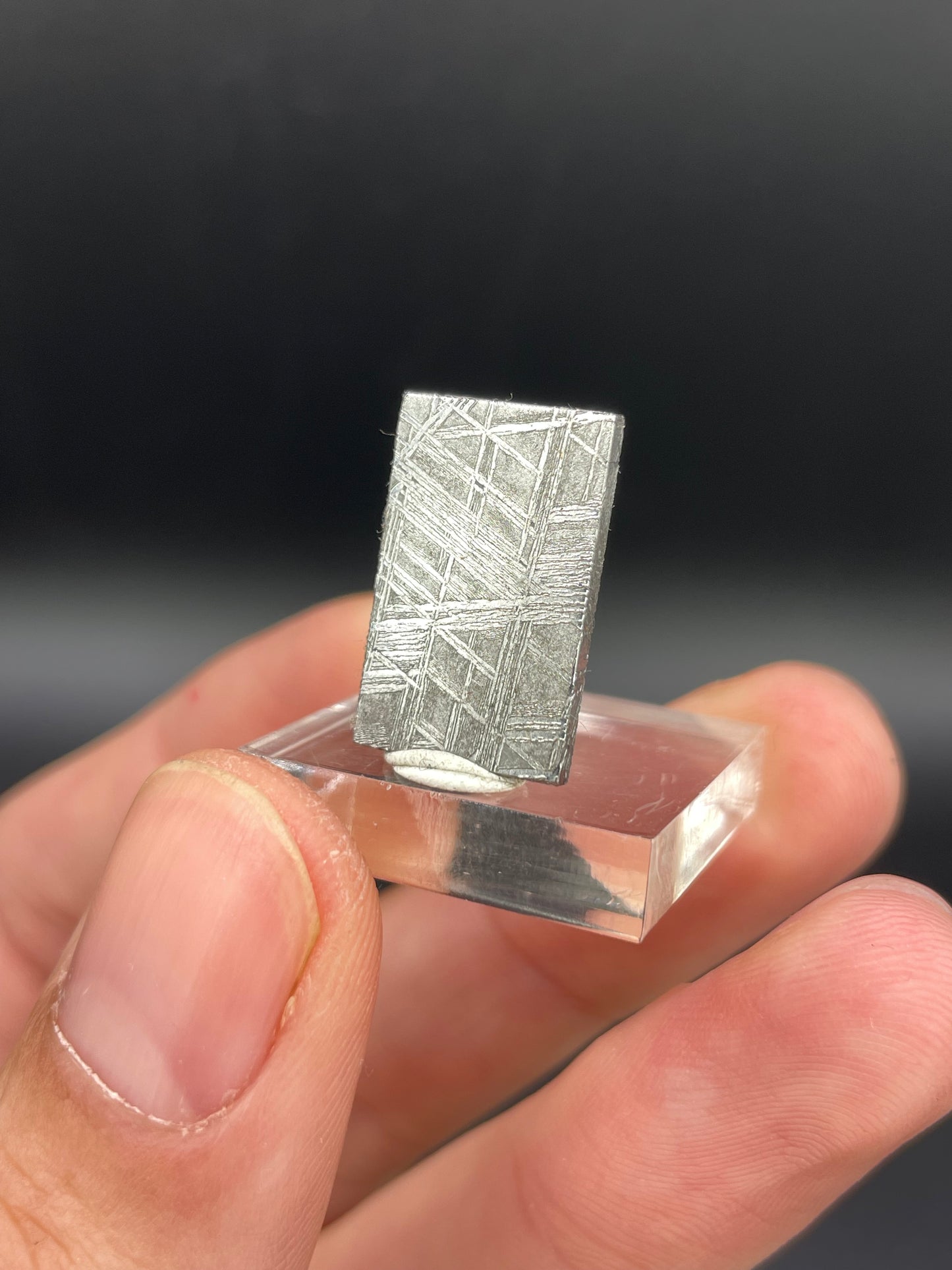 Muonionalusta Meteorite Slice from Norrbotten, Sweden
