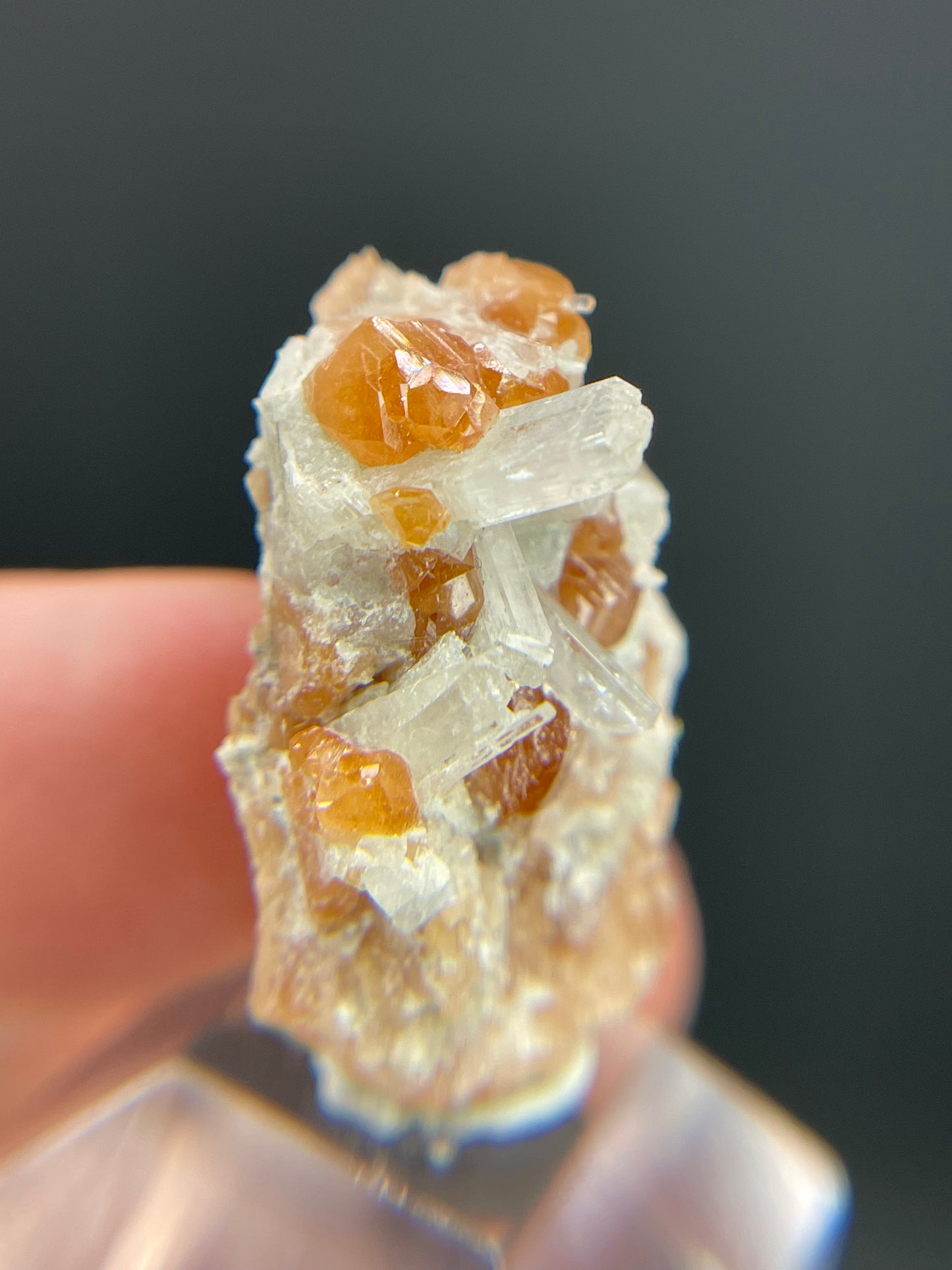Hessonite garnet, Diopside, Valle d'Aosta, Italy