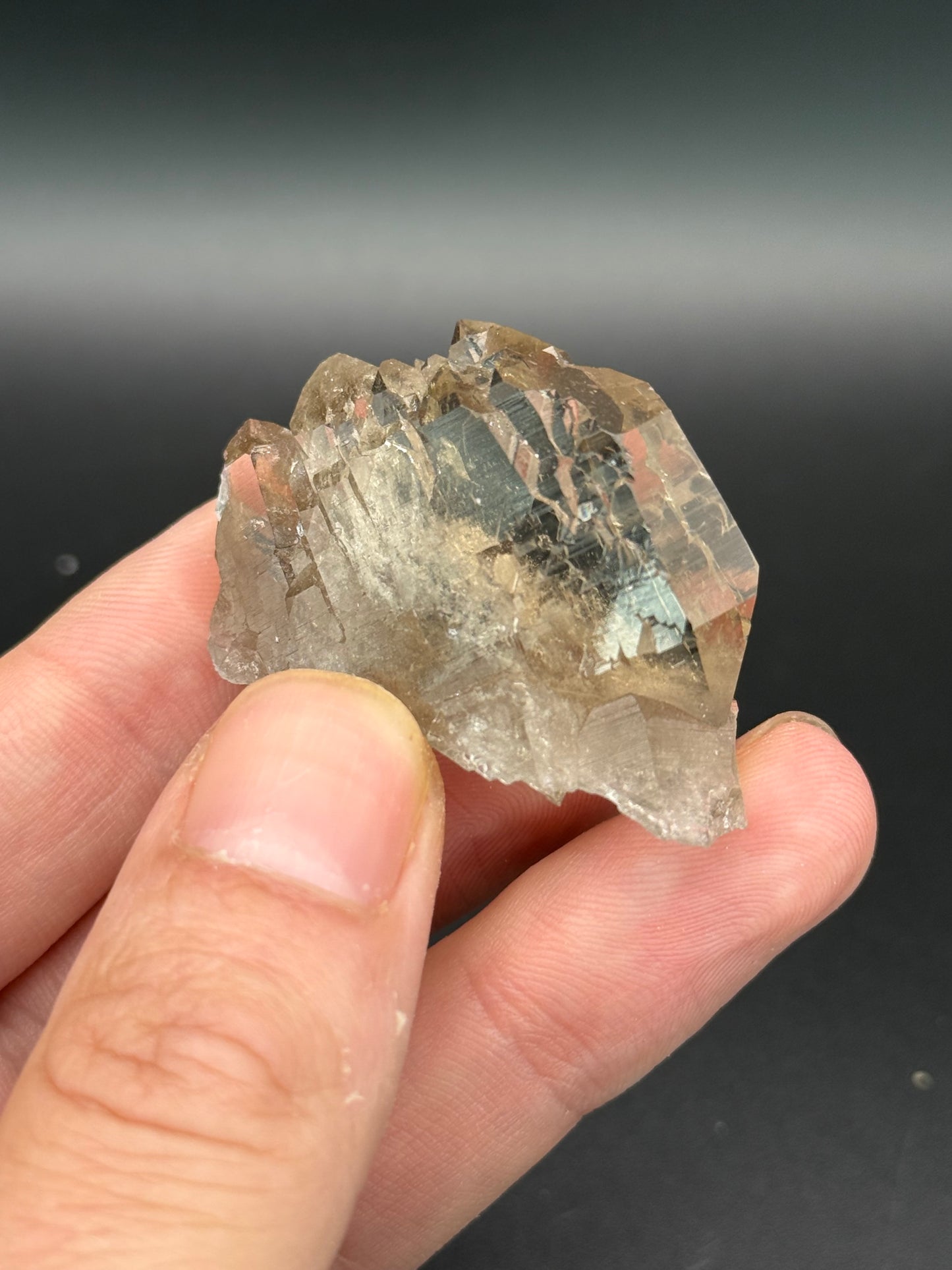 Gwindel Quartz, Val Cavrein, Disentis, Grisons, Switzerland