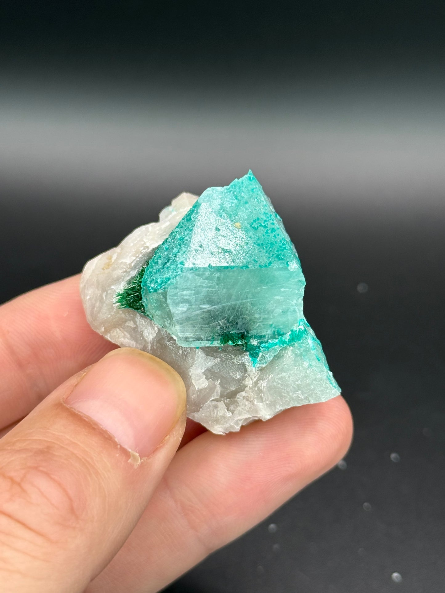 Dioptase, Malachite and Quartz, Kunene Region, Namibia