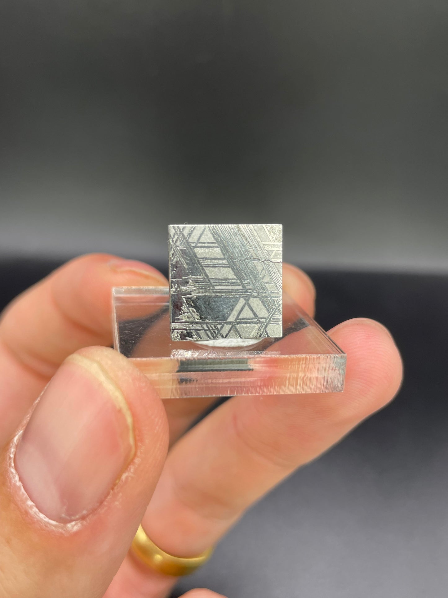 Muonionalusta Meteorite Slice from Norrbotten, Sweden