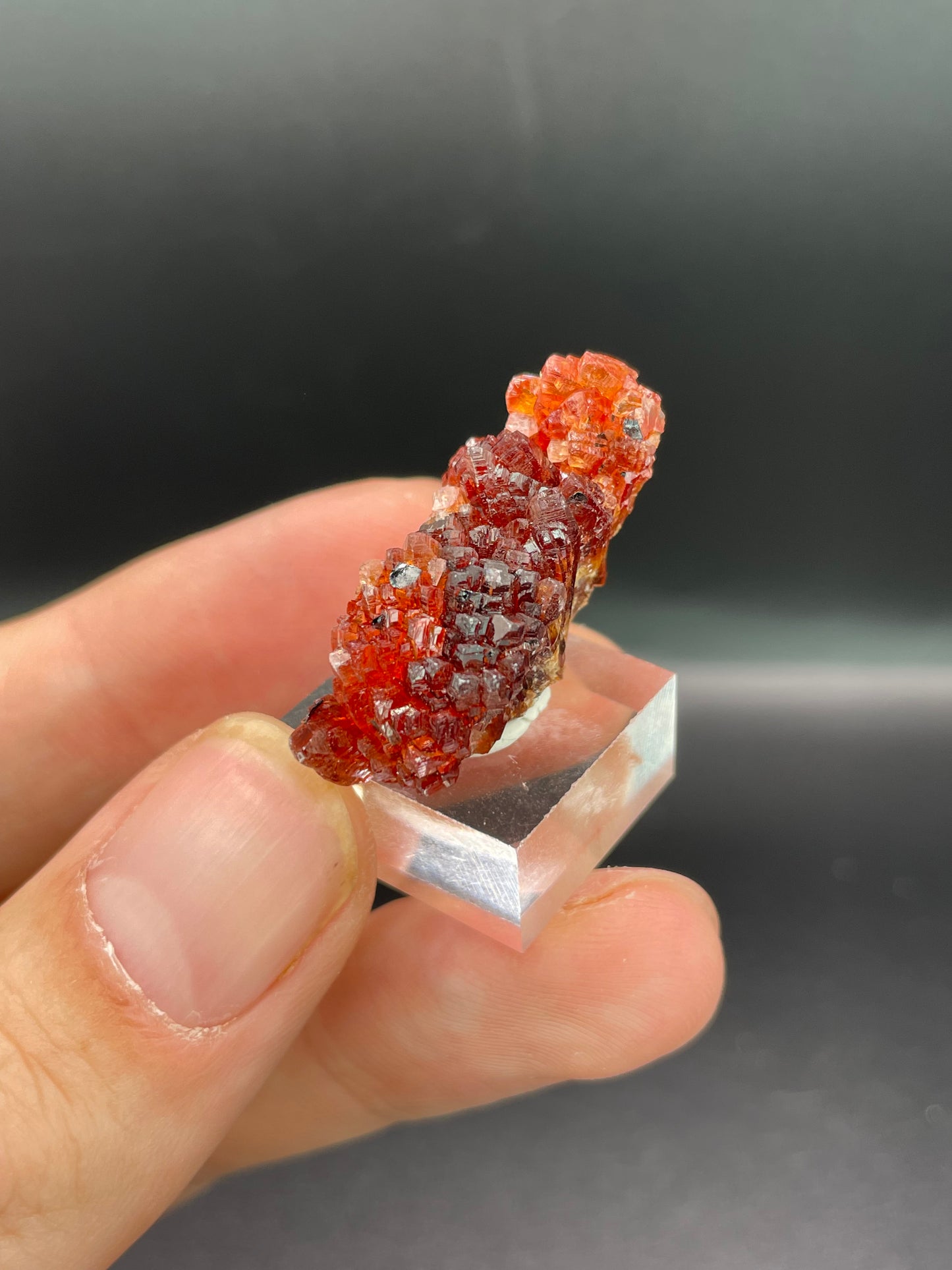 Rhodochrosite, Hotazel, Northern Cape Province, South Africa