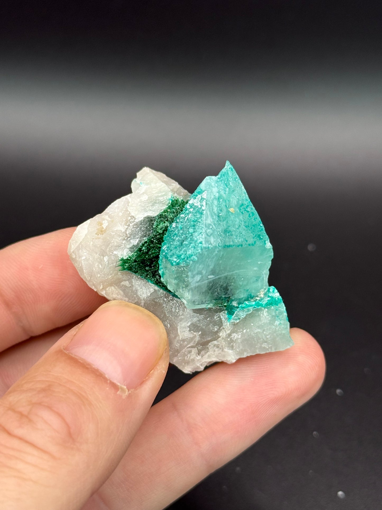 Dioptase, Malachite and Quartz, Kunene Region, Namibia