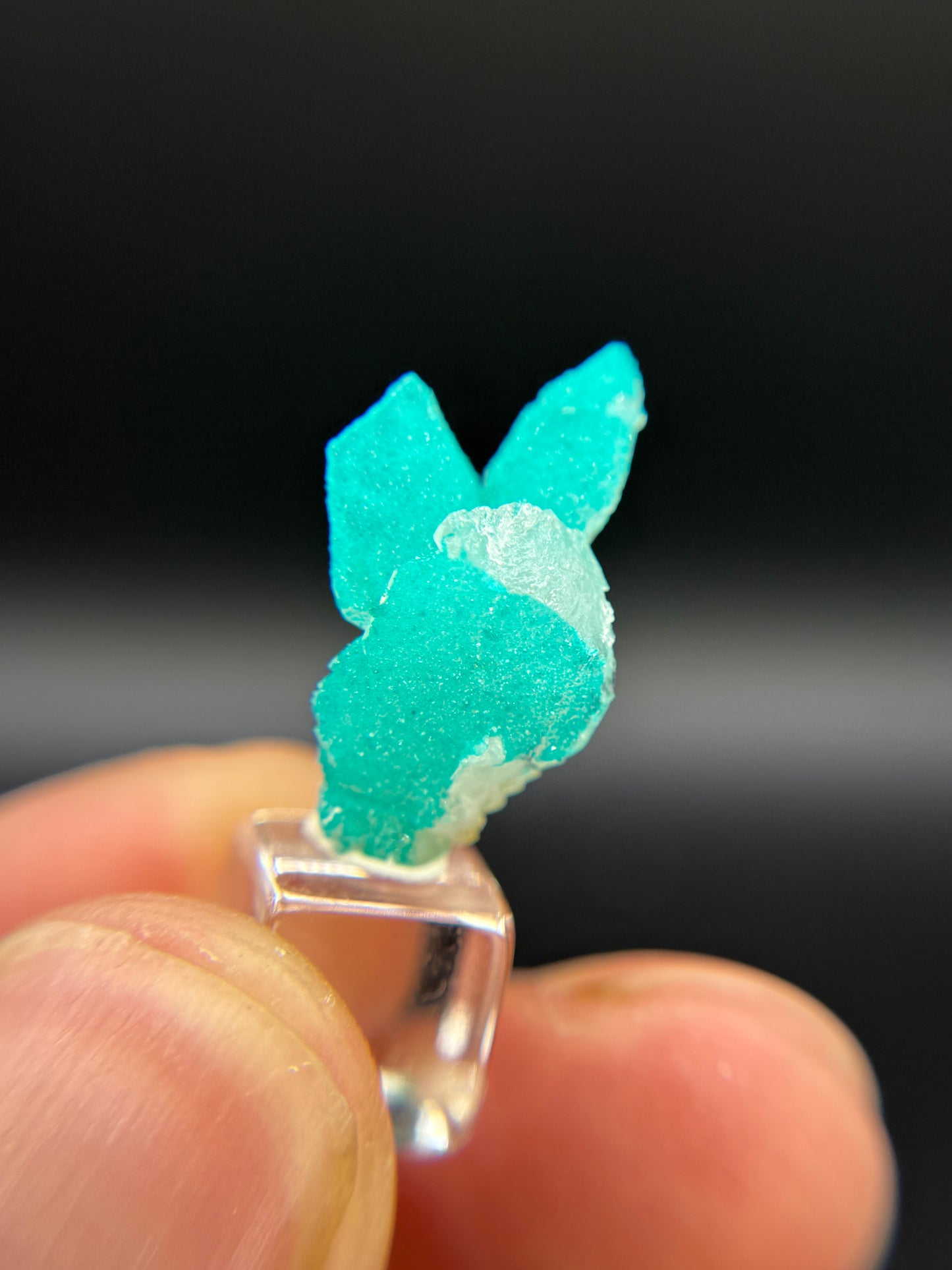 Dioptase and Quartz, Kunene Region, Namibia