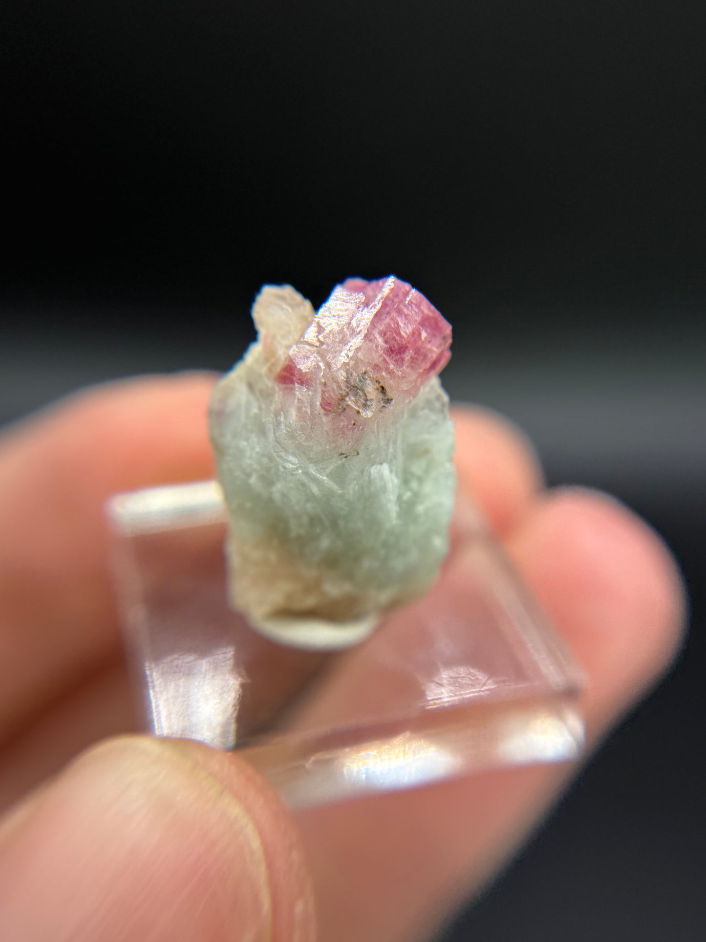 Pezzottaite on Microcline, Ambavaloza village, Antsirabe, Madagascar