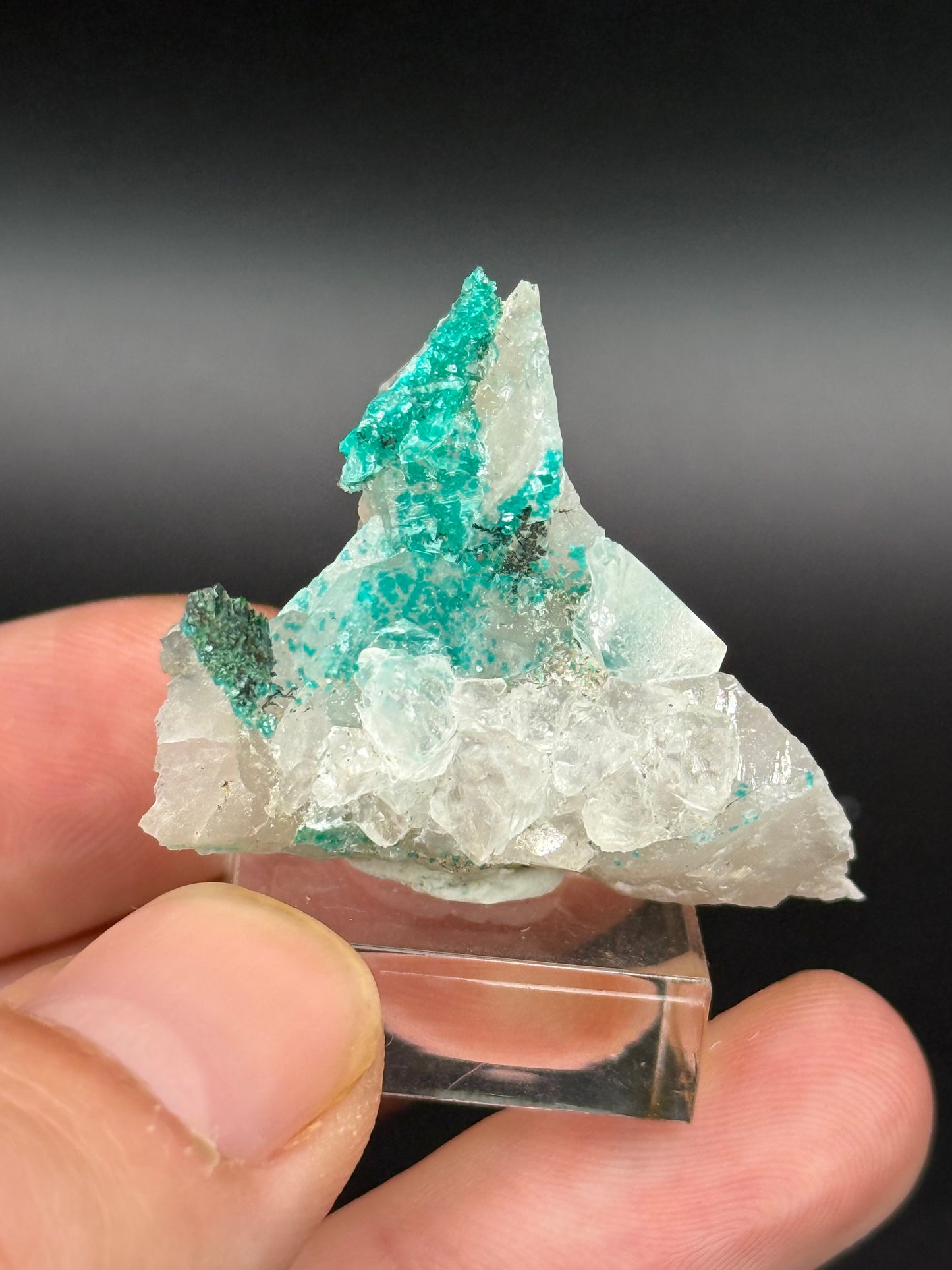 Dioptase and Quartz, Kunene Region, Namibia