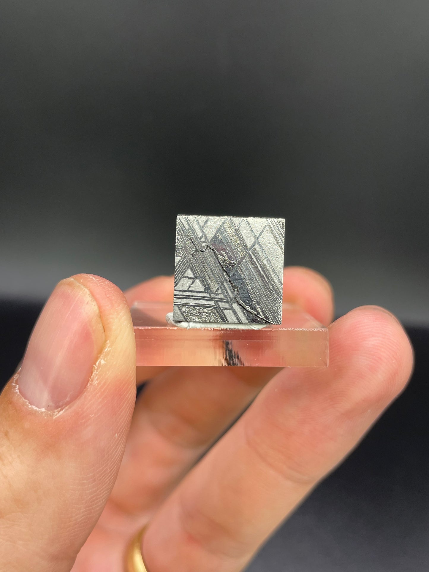 Muonionalusta Meteorite Slice from Norrbotten, Sweden