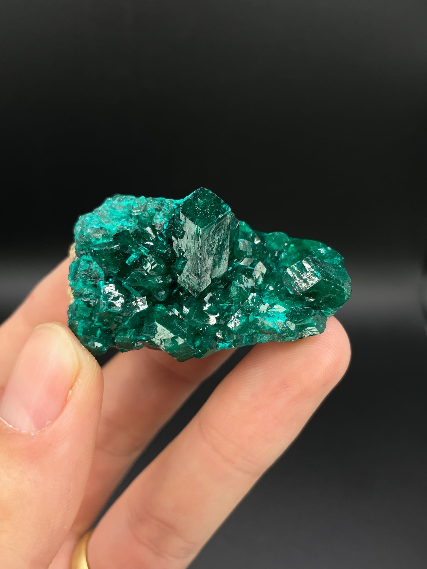 Dioptase, Tantara Mine, Haut-Katanga, DR Congo