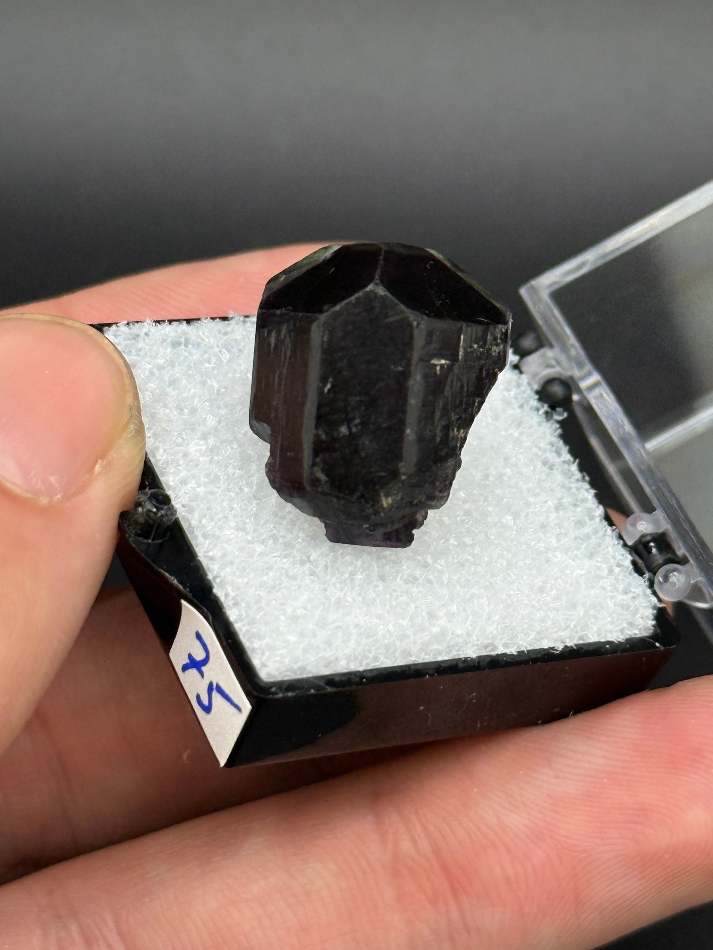 Fluorite, Mandinga Mine, Laguna Brava, Loboy District, Unión Department, Córdoba Province, Argentina.