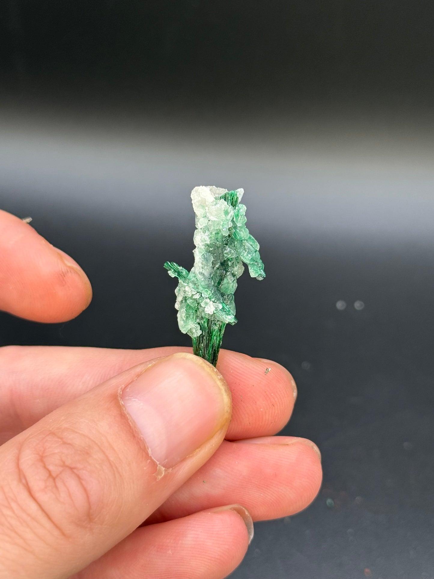 Malachite and calcite, Kunene Region, Namibia