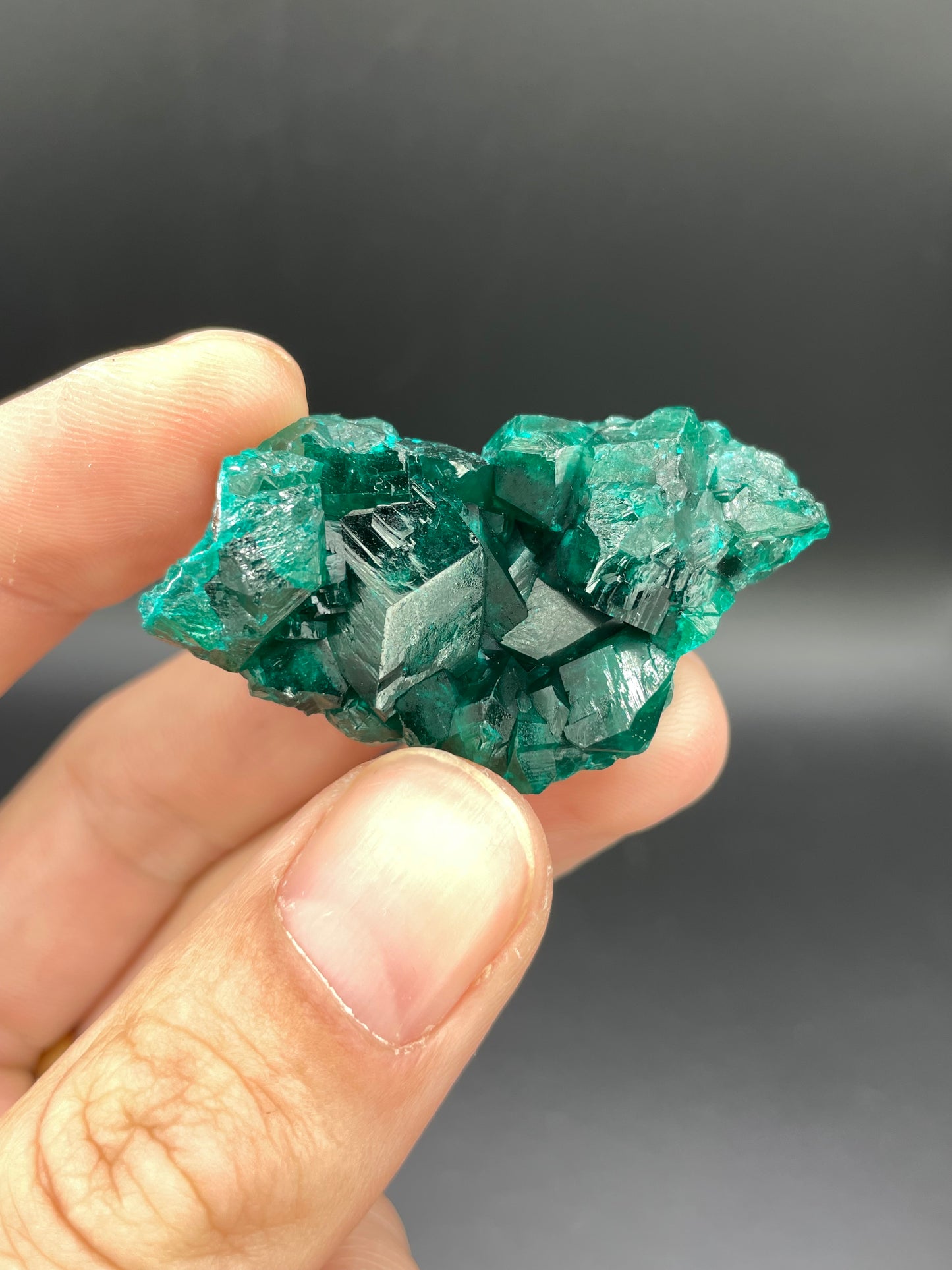 Dioptase, Tantara Mine, Haut-Katanga, DR Congo
