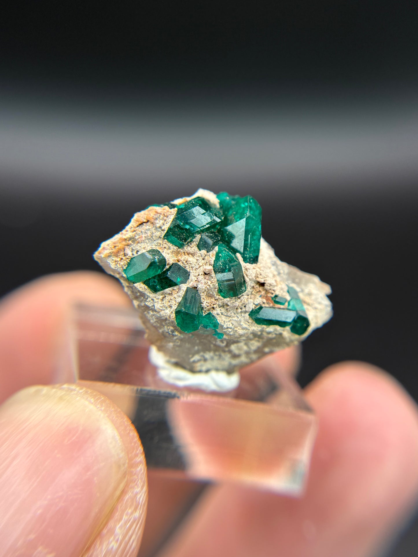 Dioptase, Kunene Region, Namibia