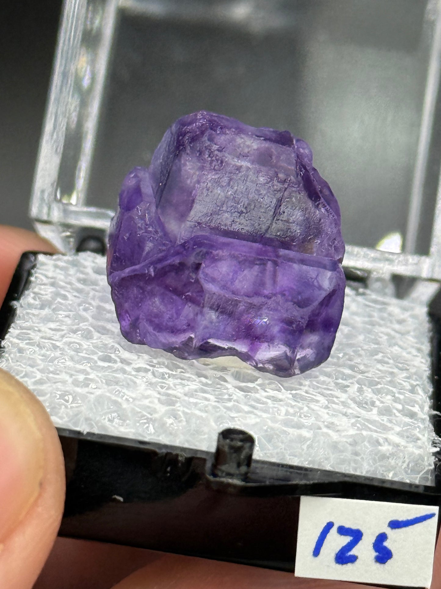 Fluorite, Mandinga Mine, Laguna Brava, Loboy District, Unión Department, Córdoba Province, Argentina.