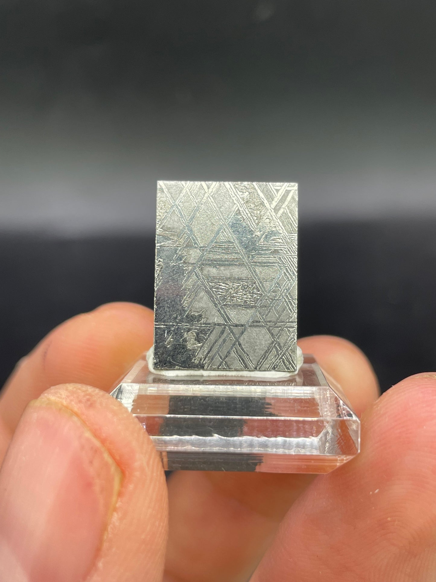 Muonionalusta Meteorite Slice from Norrbotten, Sweden