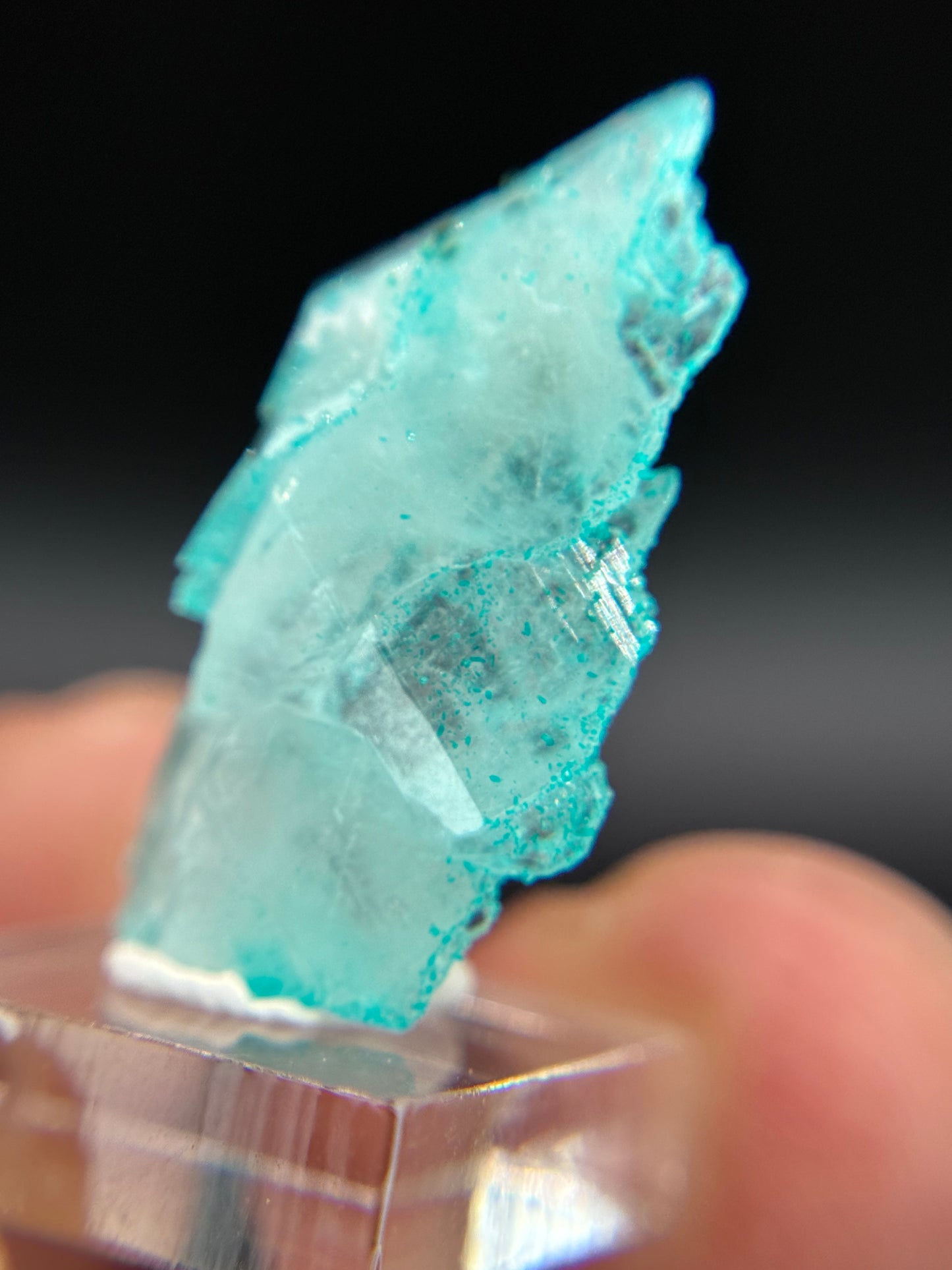 Dioptase and Quartz, Kunene Region, Namibia