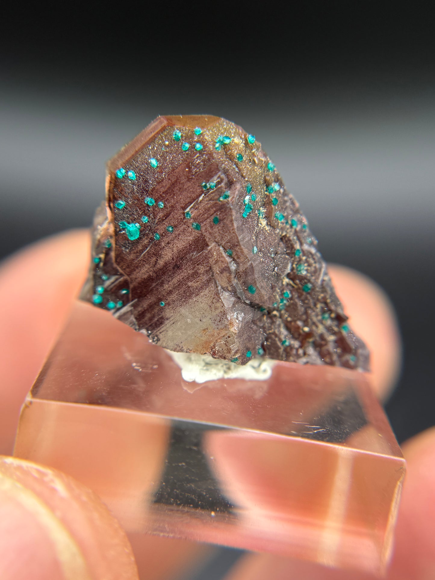 Dioptaze, Hematite and Quartz, Kunene Region, Namibia