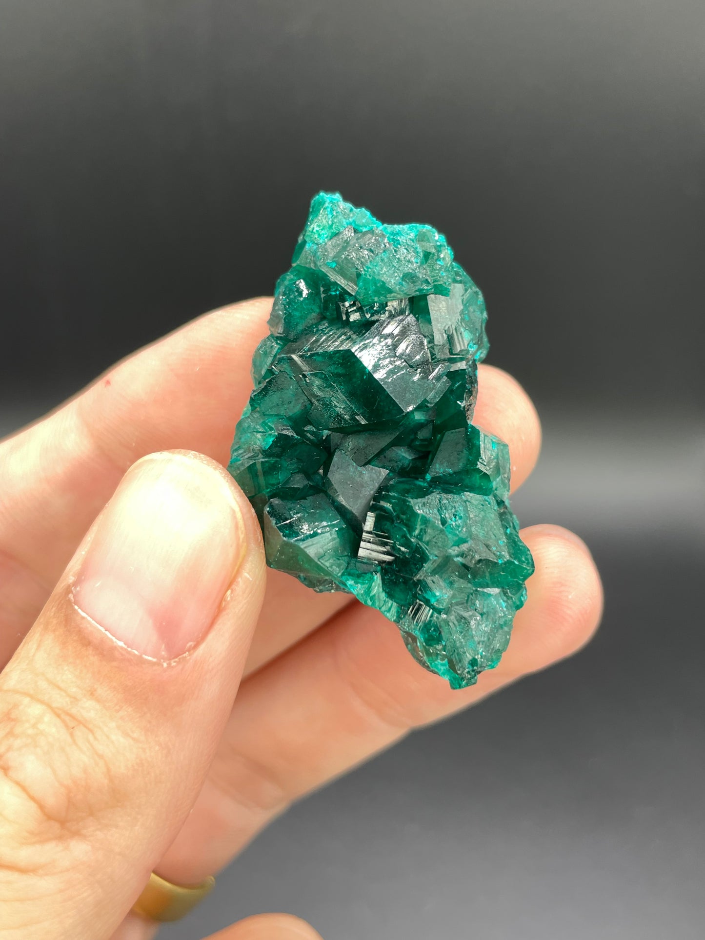 Dioptase, Tantara Mine, Haut-Katanga, DR Congo