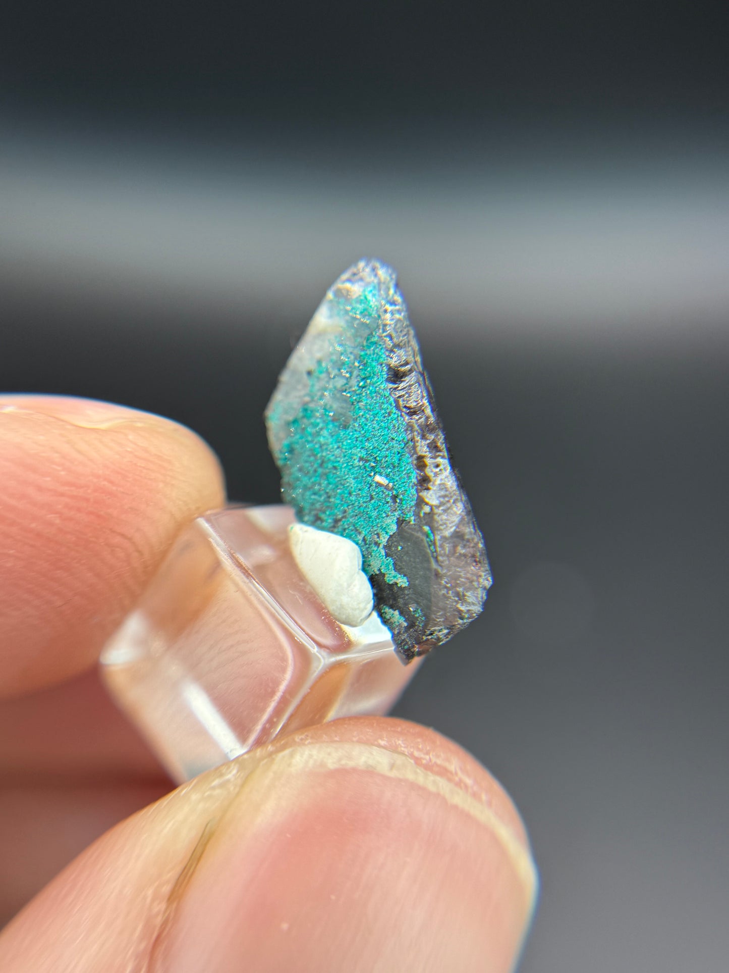 Dioptase and Quartz, Kunene Region, Namibia