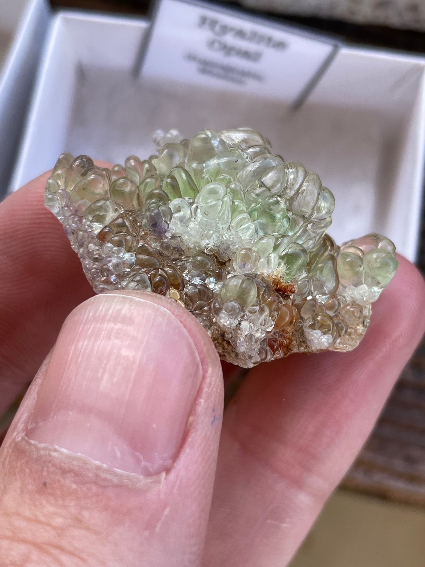 Hyalite Opal with Fluorite Inclusions, Guanajuato, Mexico