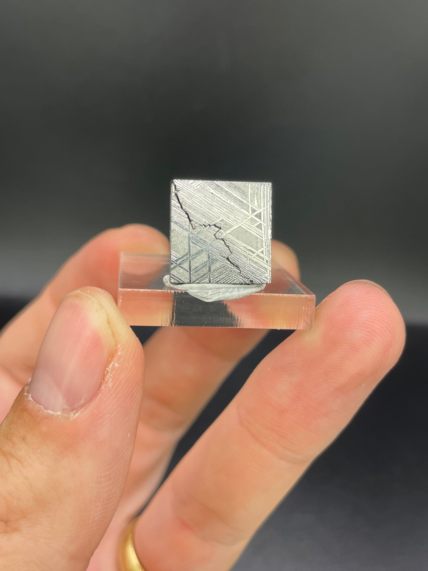 Muonionalusta Meteorite Slice from Norrbotten, Sweden