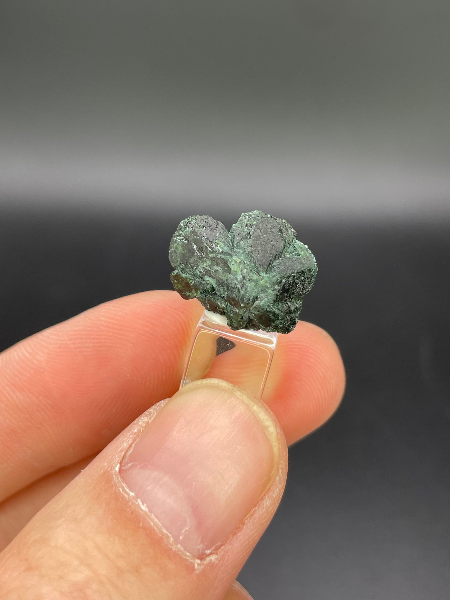 Alexandrite, Novello Claims, Masvingo, Zimbabwe