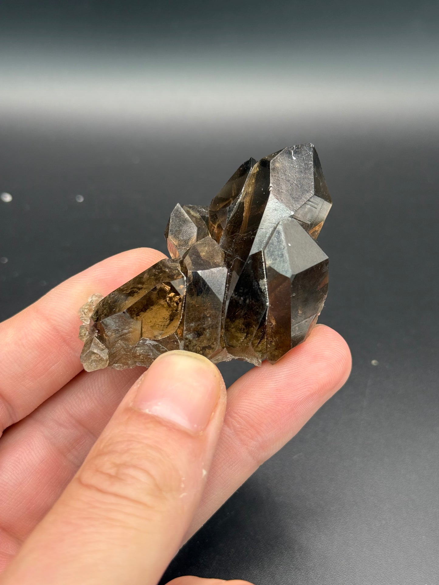Smoky Quartz, Val Giuv, Tujetsch, Surselva Region, Grisons, Switzerland