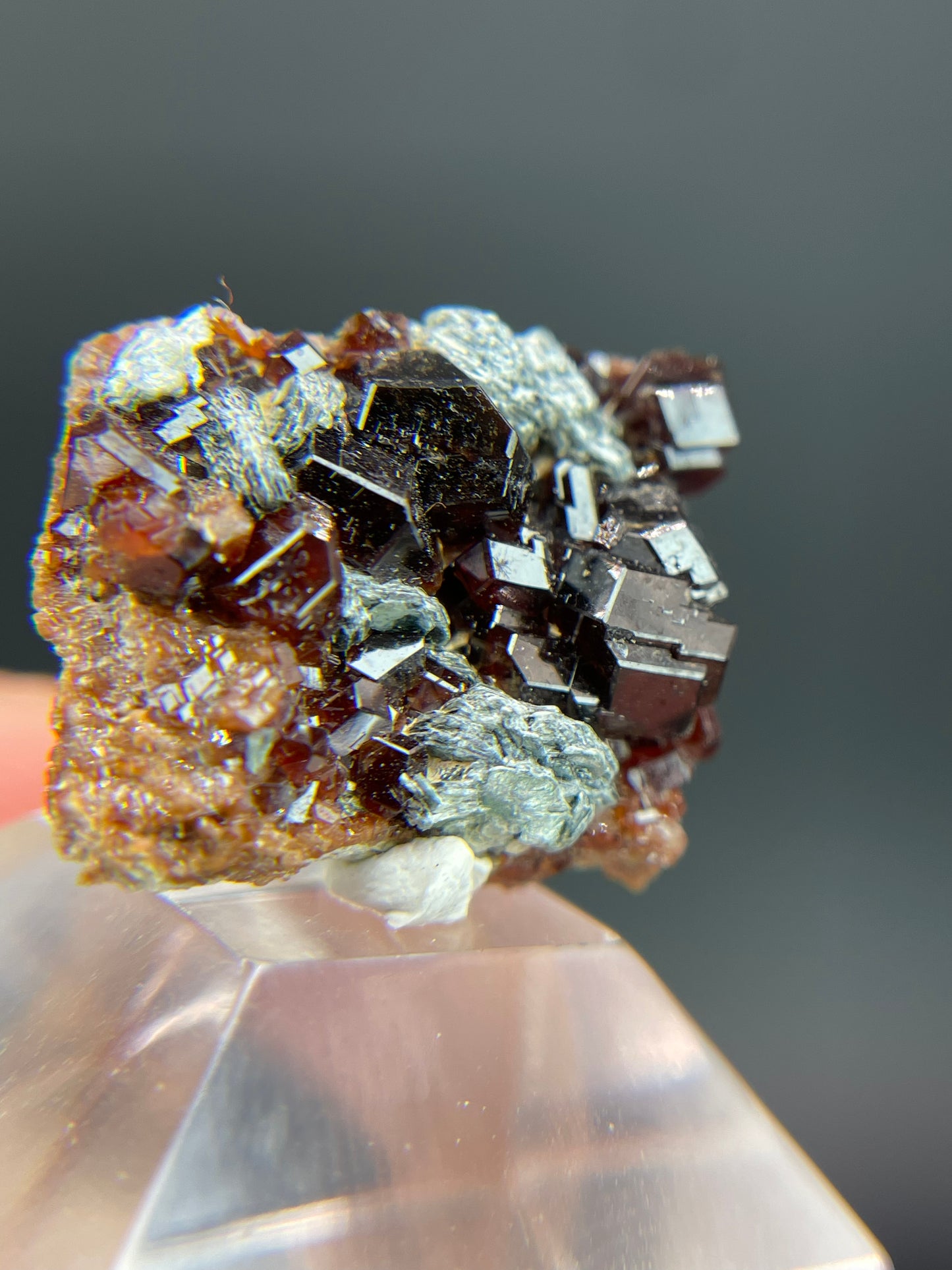 Hessonite garnet, Clinochlore, Valle d’Aosta, Italy