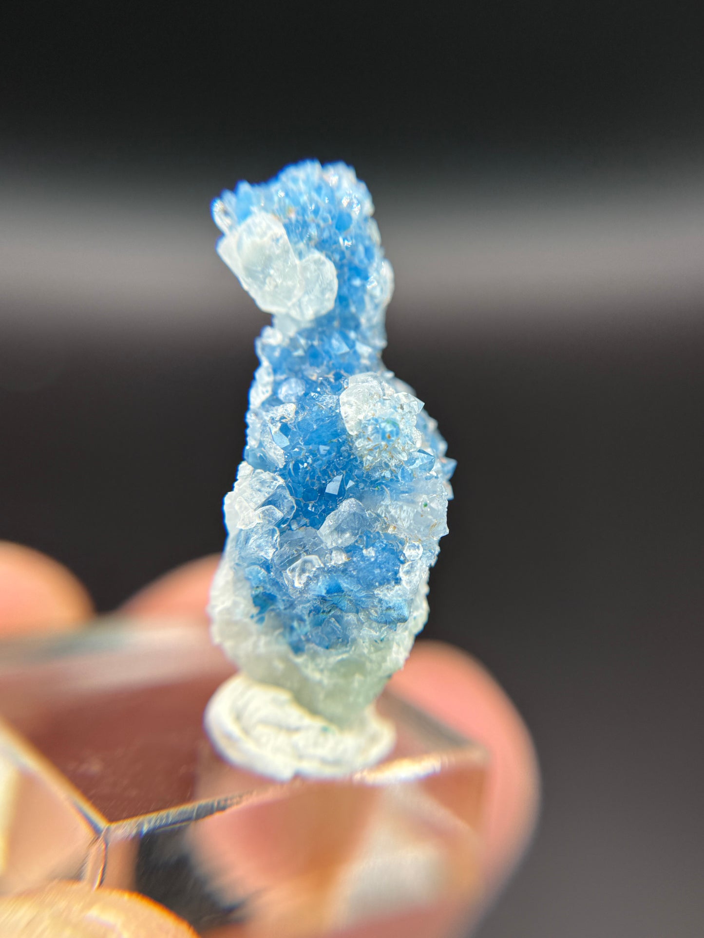 Shattuckite in Quartz, Kunene Region, Namibia