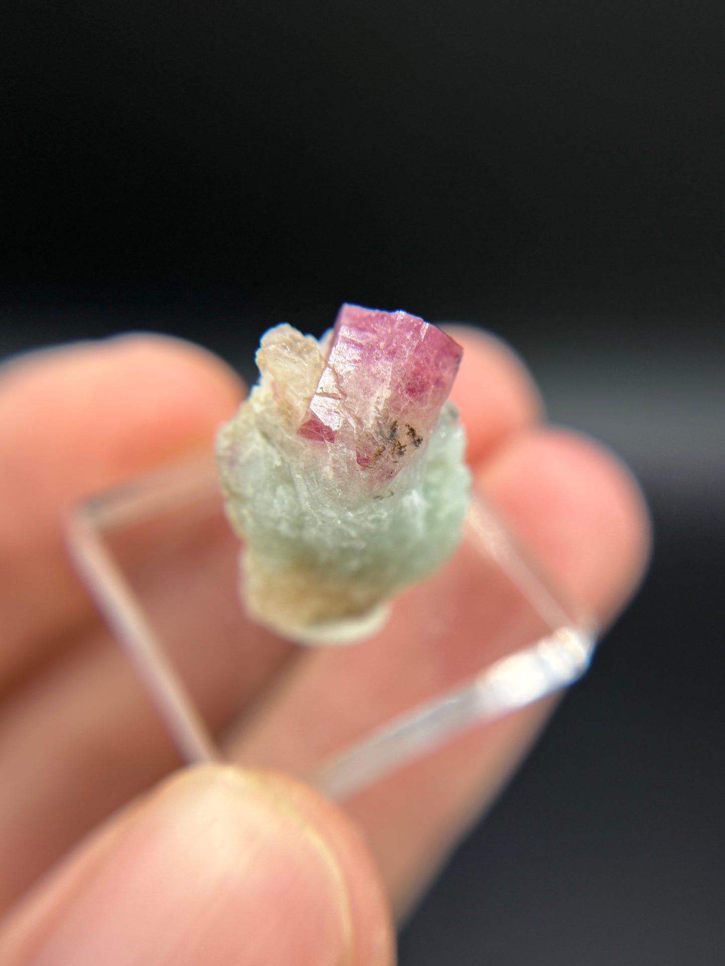 Pezzottaite on Microcline, Ambavaloza village, Antsirabe, Madagascar