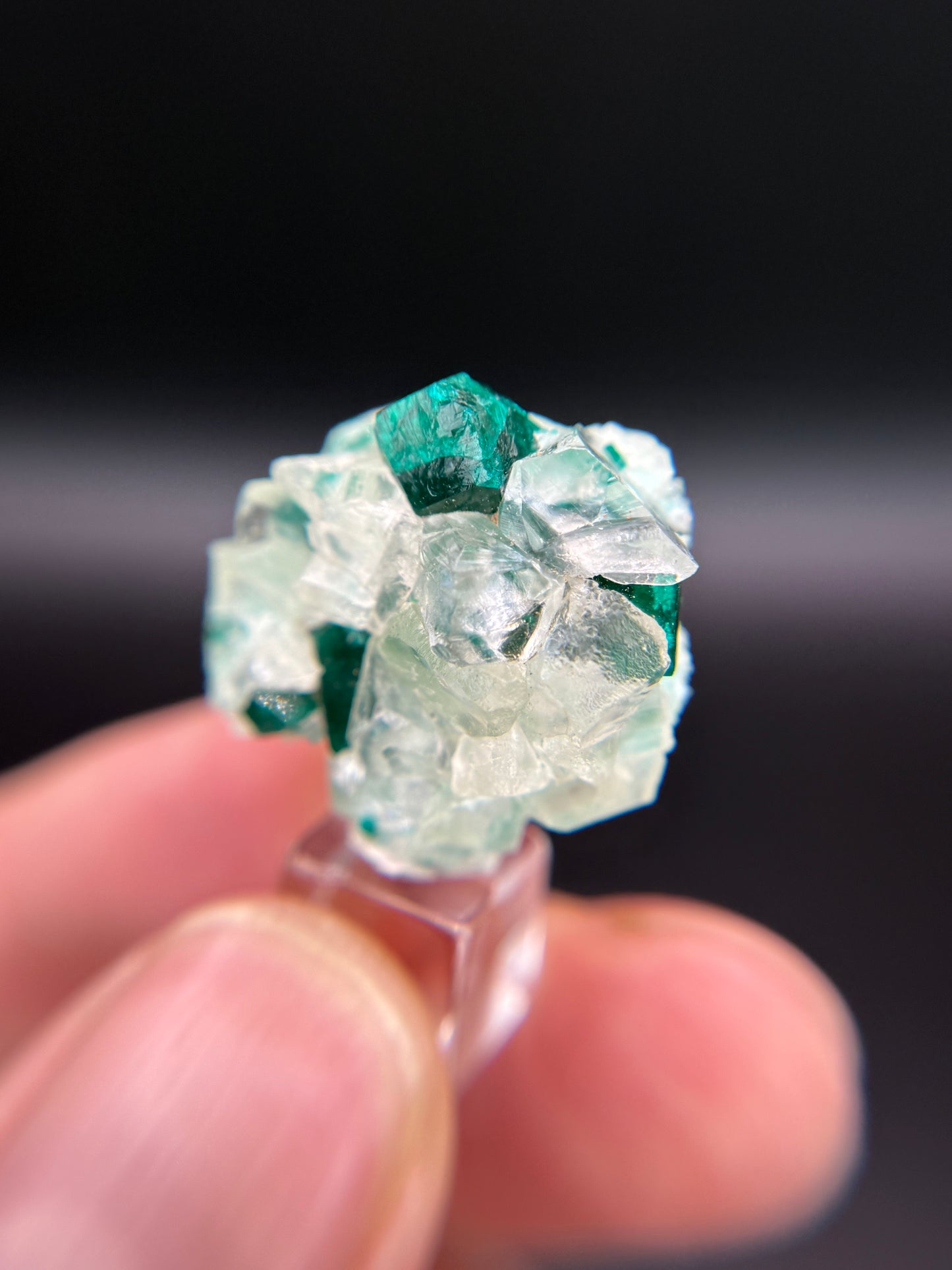 Dioptase and Calcite, Kunene Region, Namibia