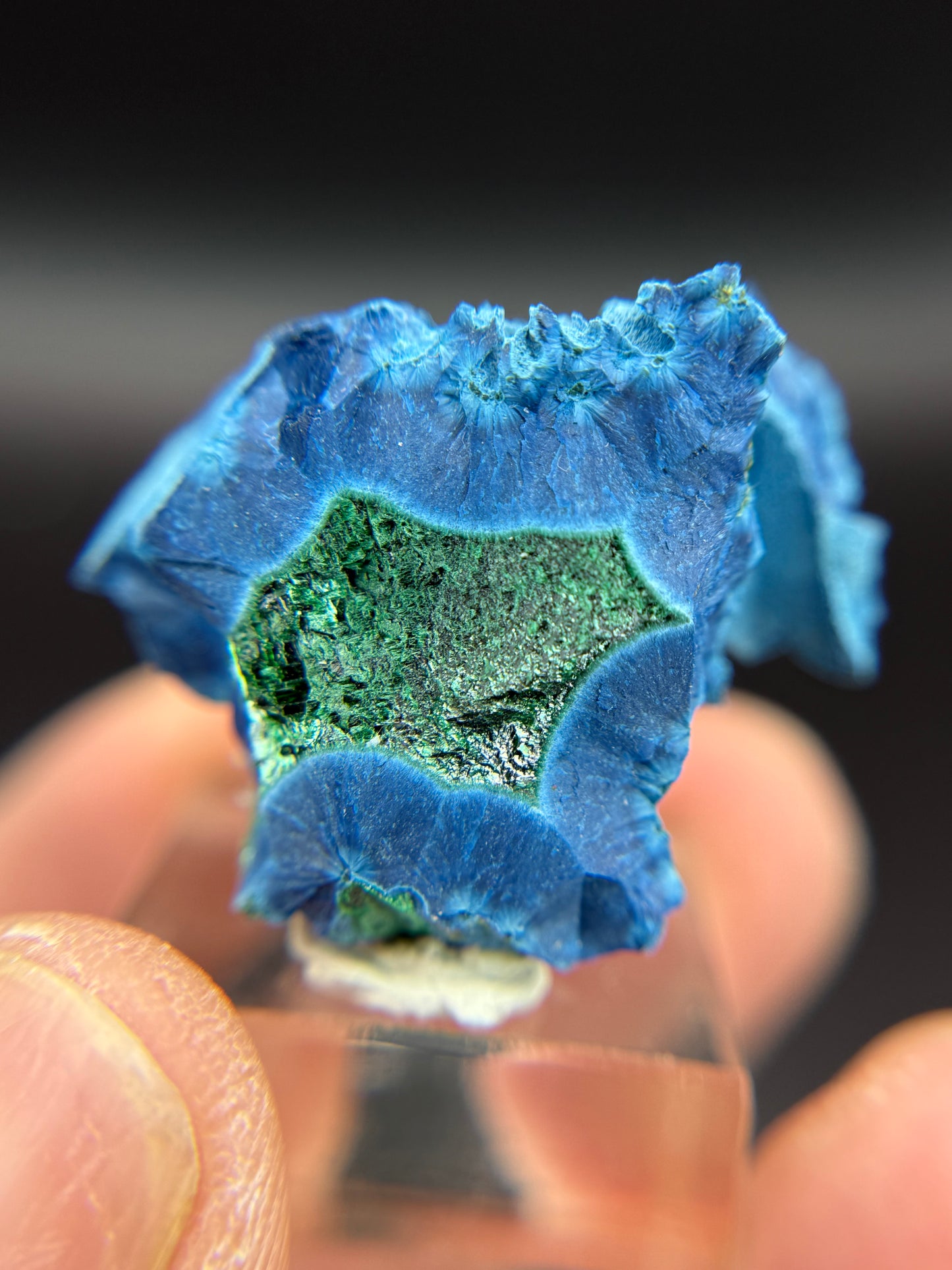Shattuckite with Malachite, Kunene Region, Namibia