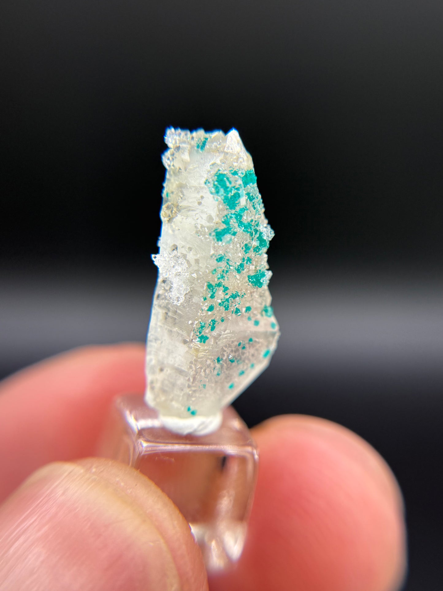 Dioptase and Quartz, Kunene Region, Namibia