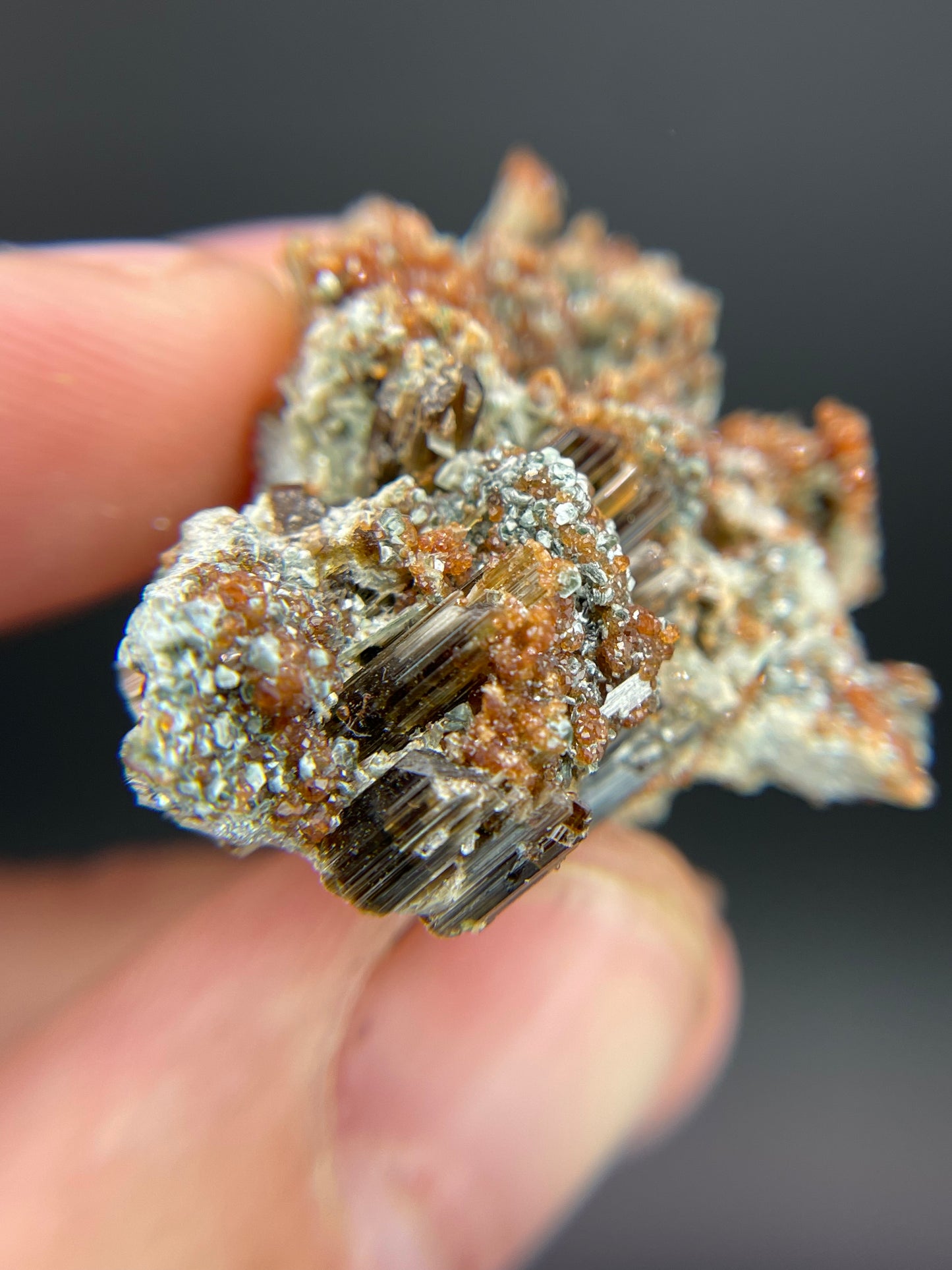 Vesuvianite, Diopside, Hessonite Garnet, Clinochlore, Valle d'Aosta, Italy