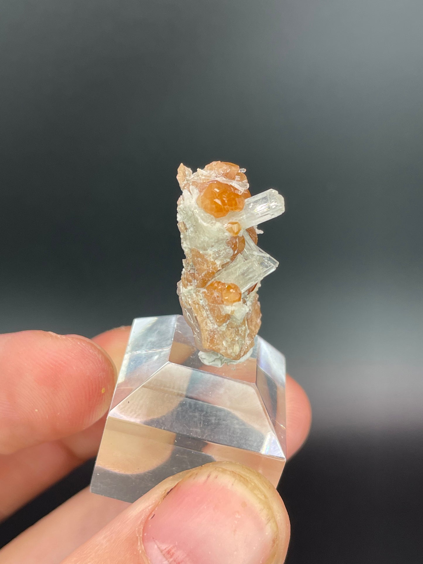 Hessonite garnet, Diopside, Valle d'Aosta, Italy