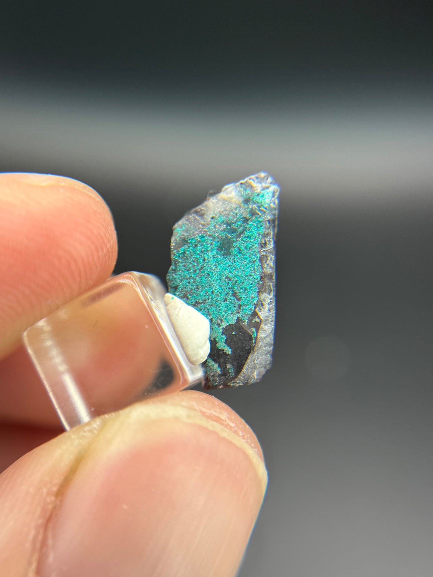 Dioptase and Quartz, Kunene Region, Namibia