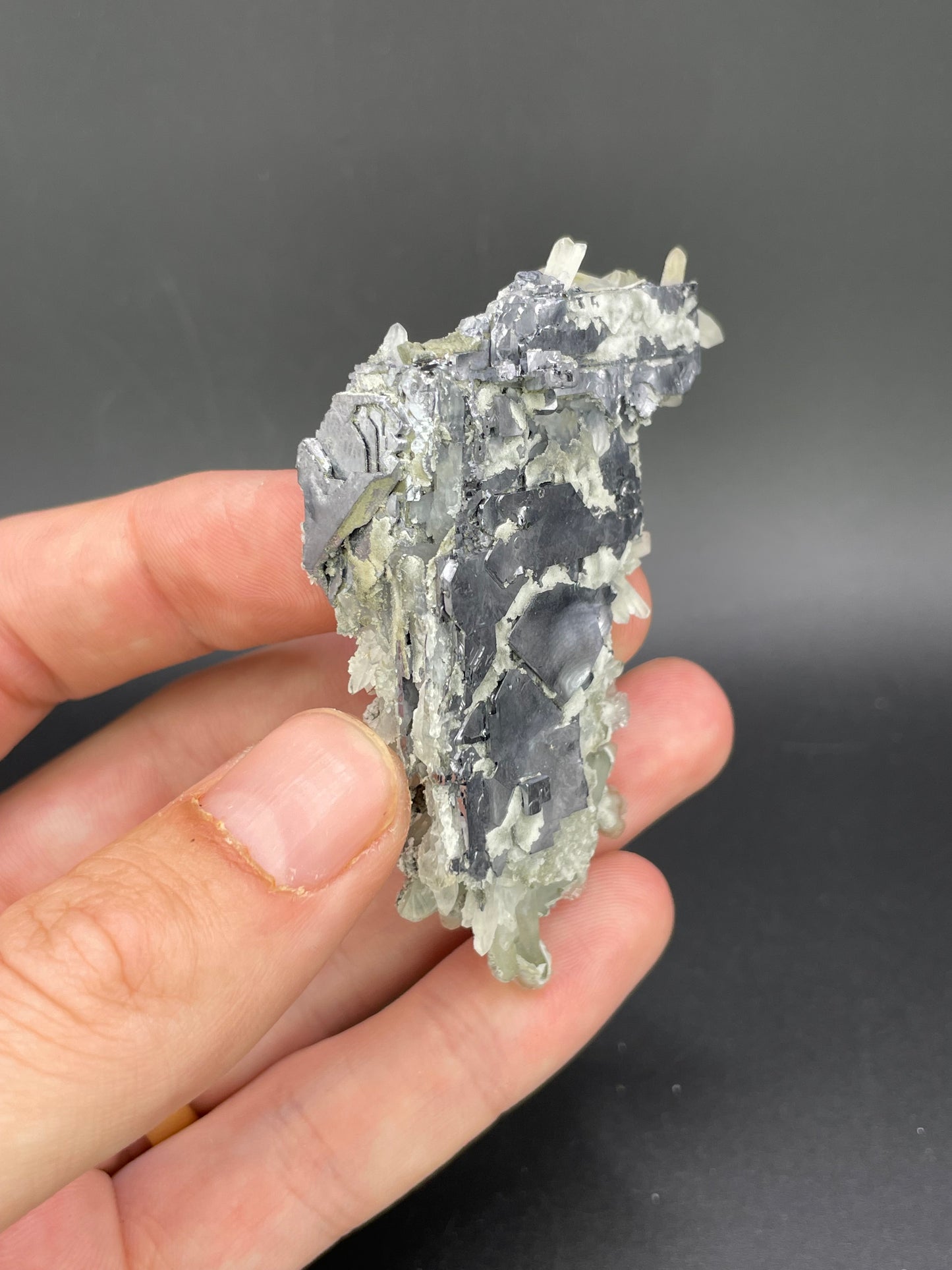 Galena with Quartz, Droujba Mine, Laki, Plovdiv Province, Bulgaria